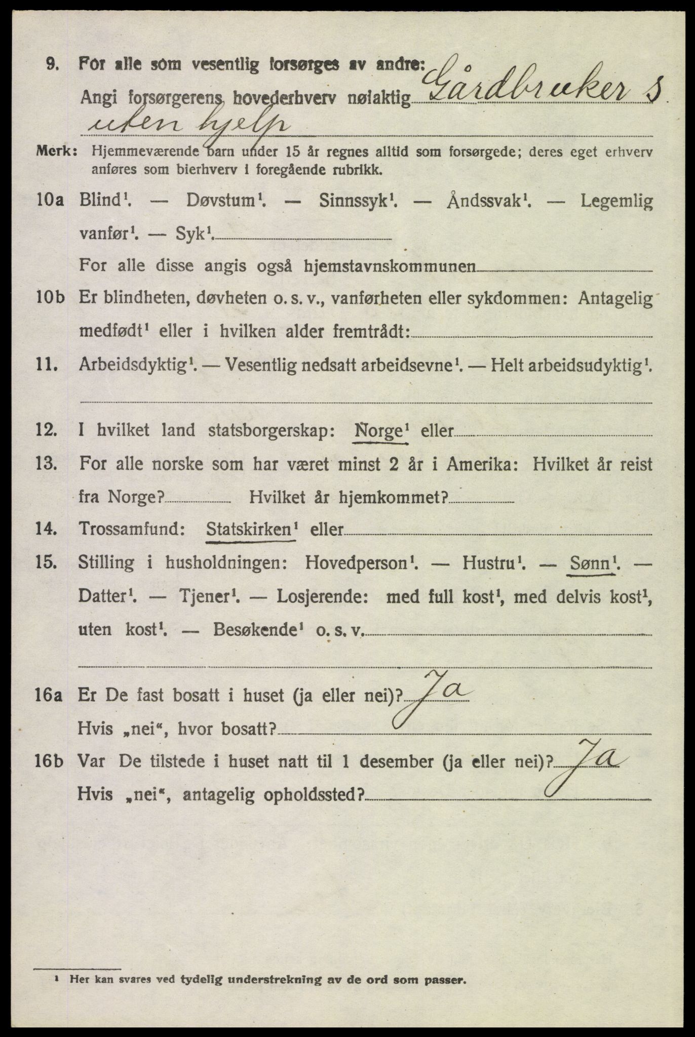 SAH, 1920 census for Tynset, 1920, p. 3945