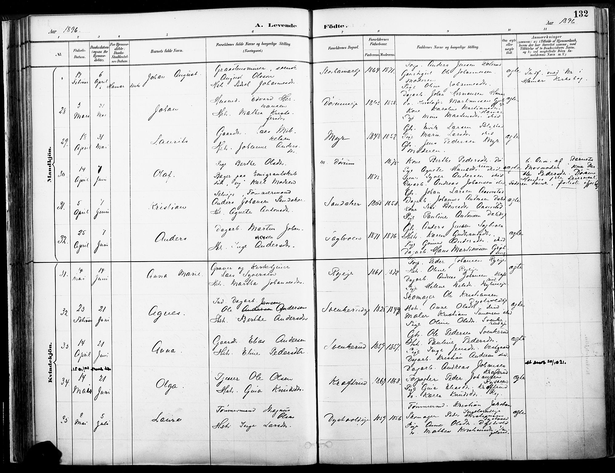 Vang prestekontor, Hedmark, AV/SAH-PREST-008/H/Ha/Haa/L0019A: Parish register (official) no. 19, 1886-1900, p. 132