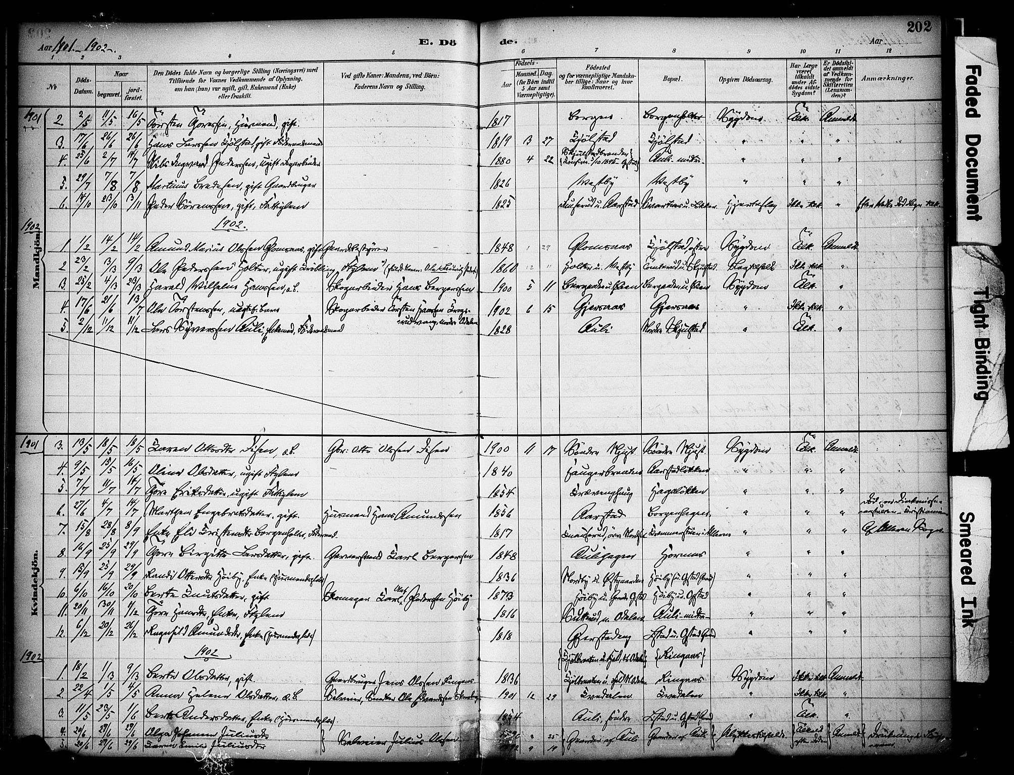 Sør-Odal prestekontor, AV/SAH-PREST-030/H/Ha/Haa/L0009: Parish register (official) no. 9, 1886-1926, p. 202