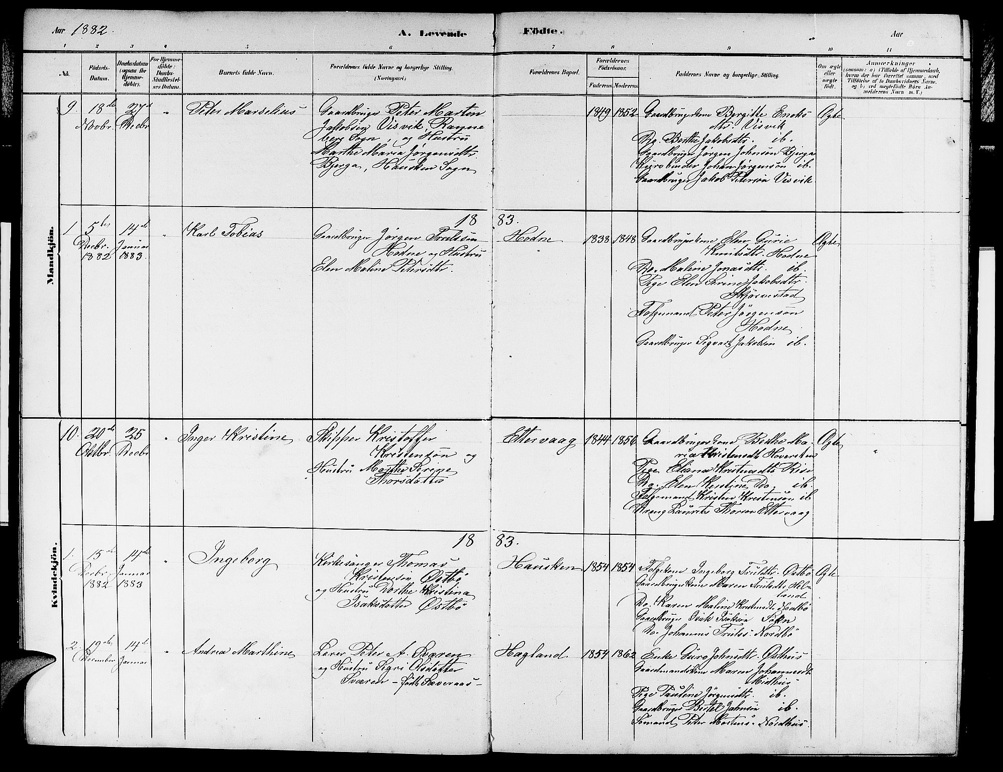 Rennesøy sokneprestkontor, AV/SAST-A -101827/H/Ha/Hab/L0007: Parish register (copy) no. B 7, 1881-1890