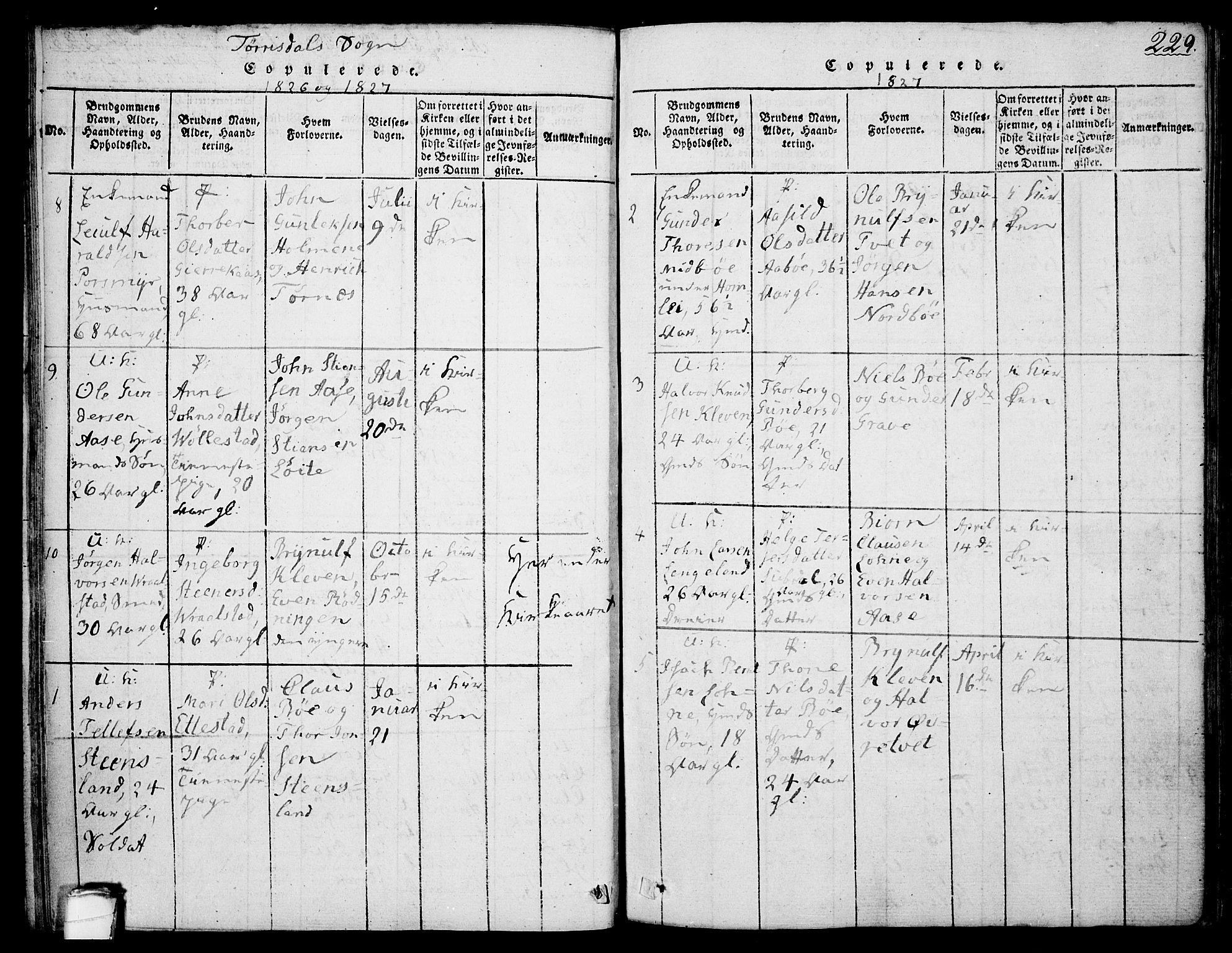 Drangedal kirkebøker, SAKO/A-258/F/Fa/L0005: Parish register (official) no. 5 /2, 1814-1831, p. 229
