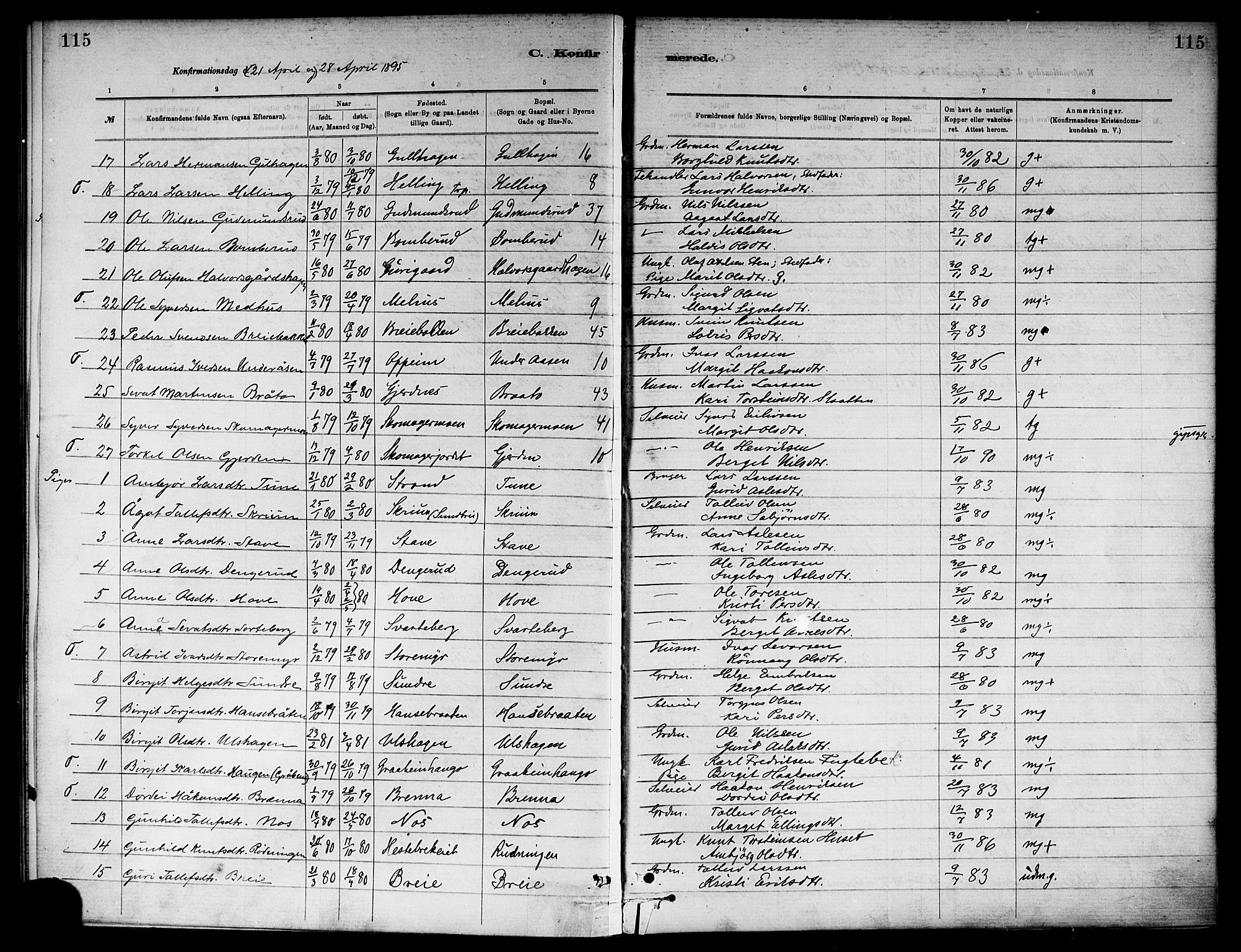 Ål kirkebøker, SAKO/A-249/F/Fa/L0008: Parish register (official) no. I 8, 1882-1896, p. 115