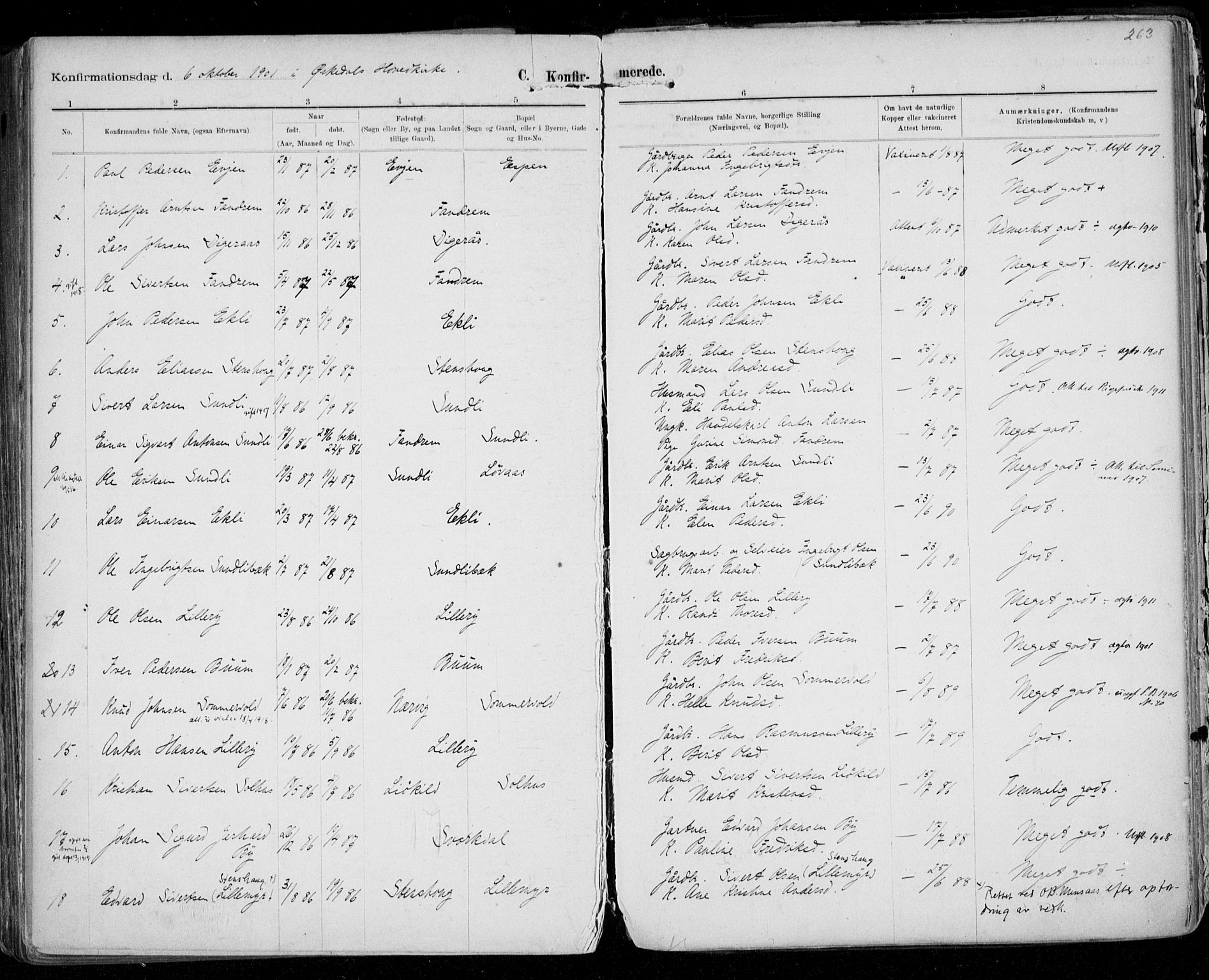 Ministerialprotokoller, klokkerbøker og fødselsregistre - Sør-Trøndelag, SAT/A-1456/668/L0811: Parish register (official) no. 668A11, 1894-1913, p. 263