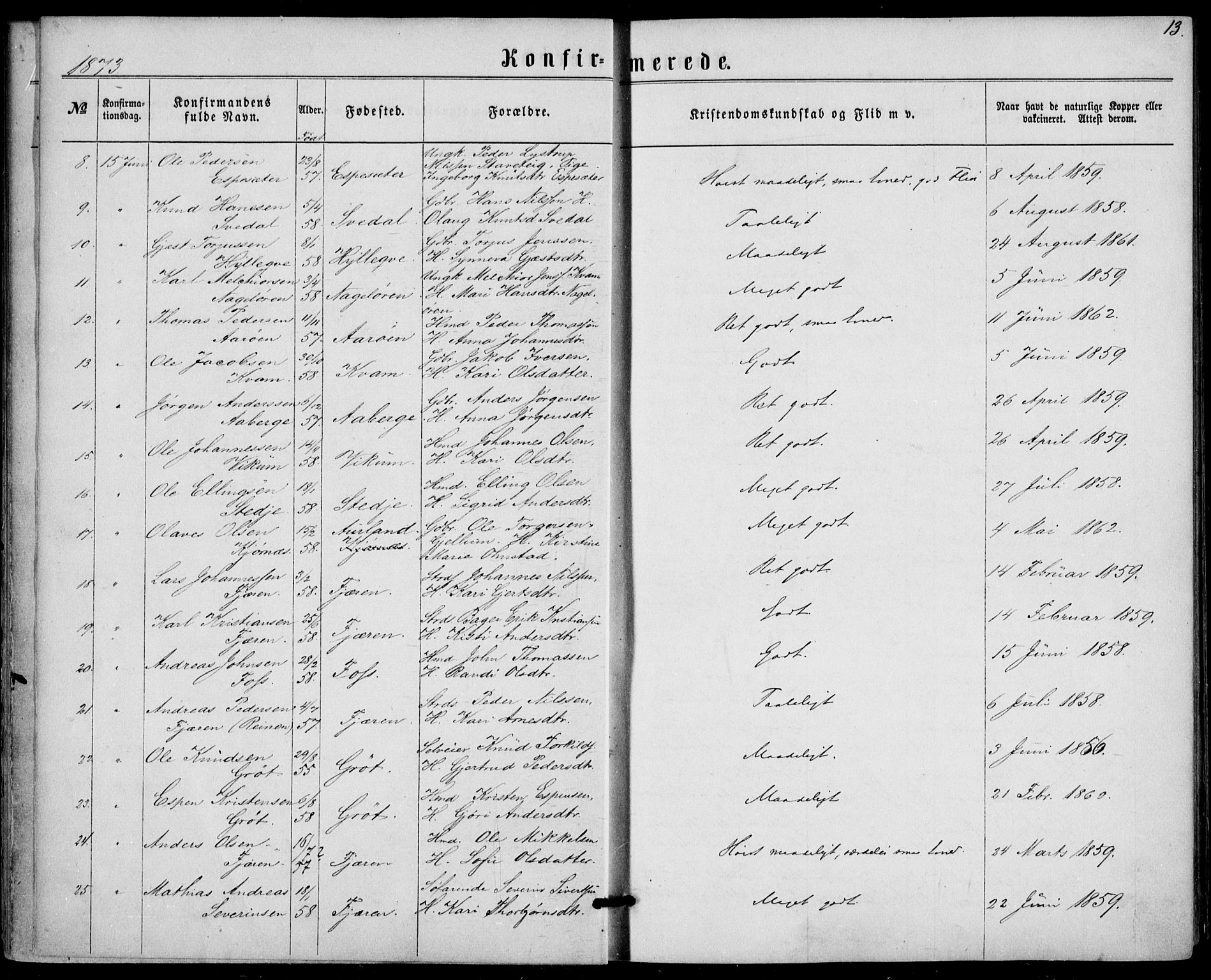 Sogndal sokneprestembete, SAB/A-81301/H/Haa/Haaa/L0015: Parish register (official) no. A 15, 1871-1904, p. 13
