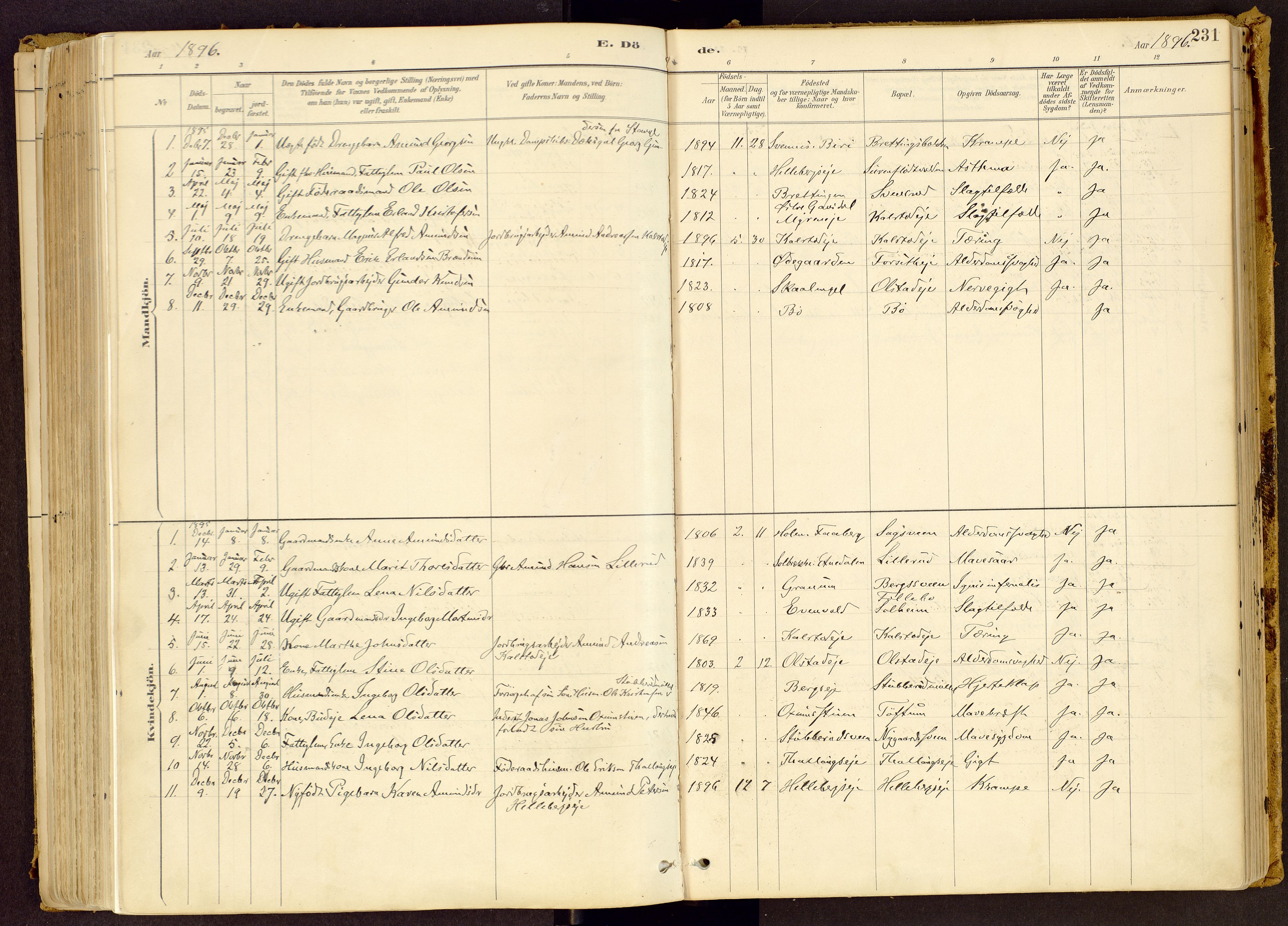 Vestre Gausdal prestekontor, SAH/PREST-094/H/Ha/Haa/L0001: Parish register (official) no. 1, 1887-1914, p. 231