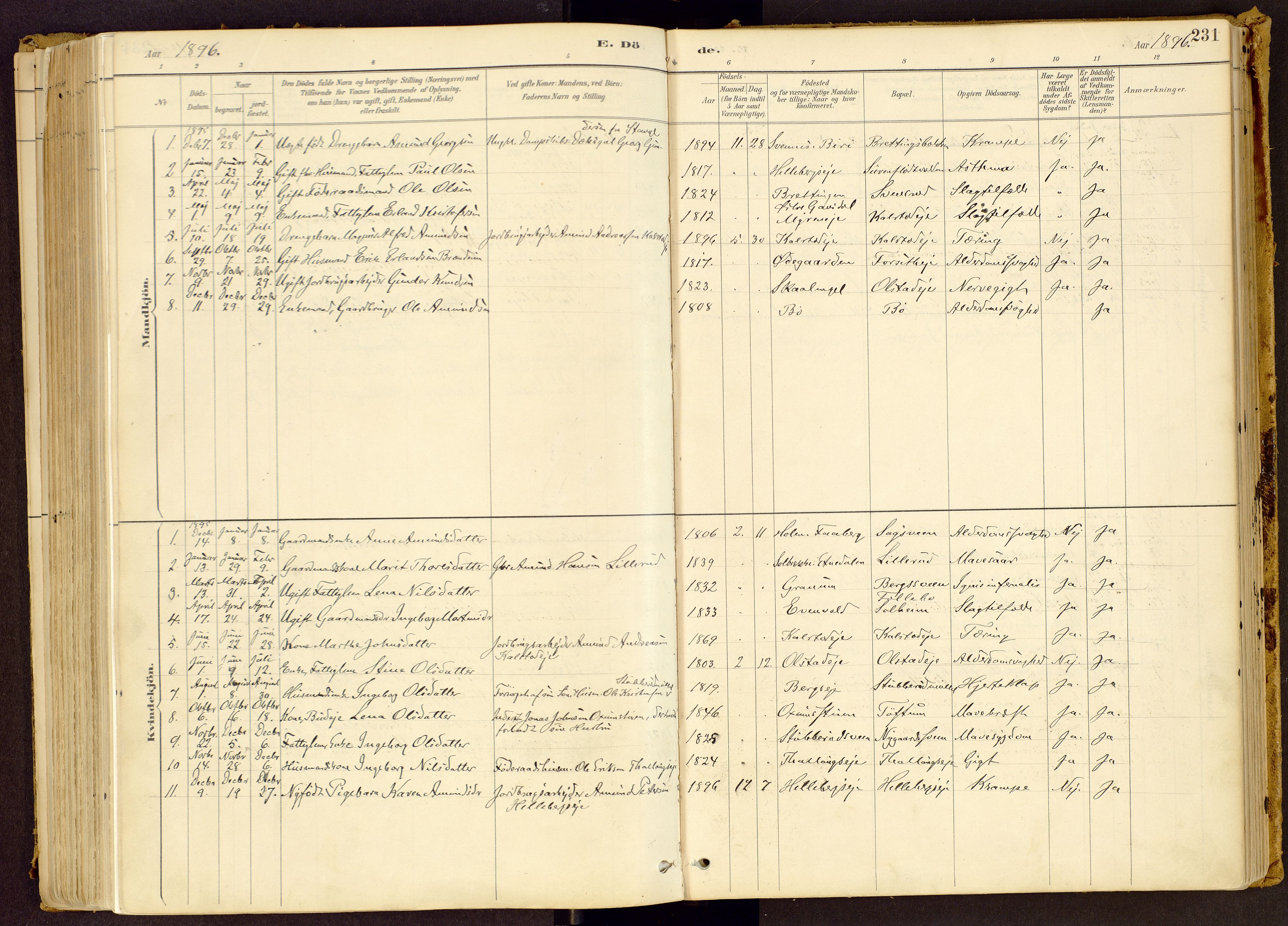 Vestre Gausdal prestekontor, AV/SAH-PREST-094/H/Ha/Haa/L0001: Parish register (official) no. 1, 1887-1914, p. 231