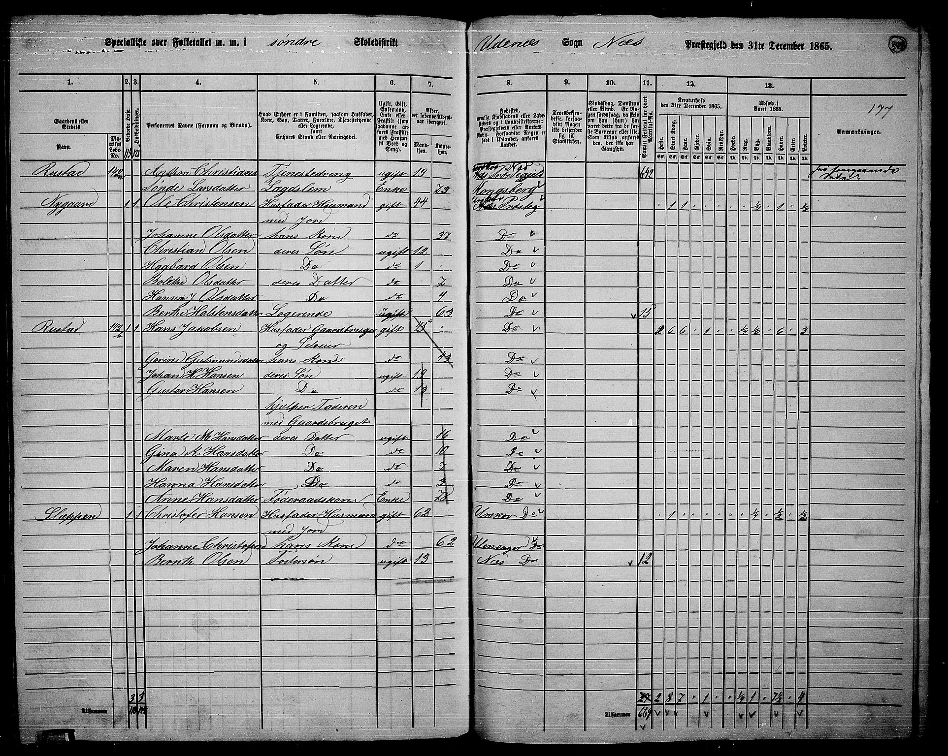 RA, 1865 census for Nes, 1865, p. 365