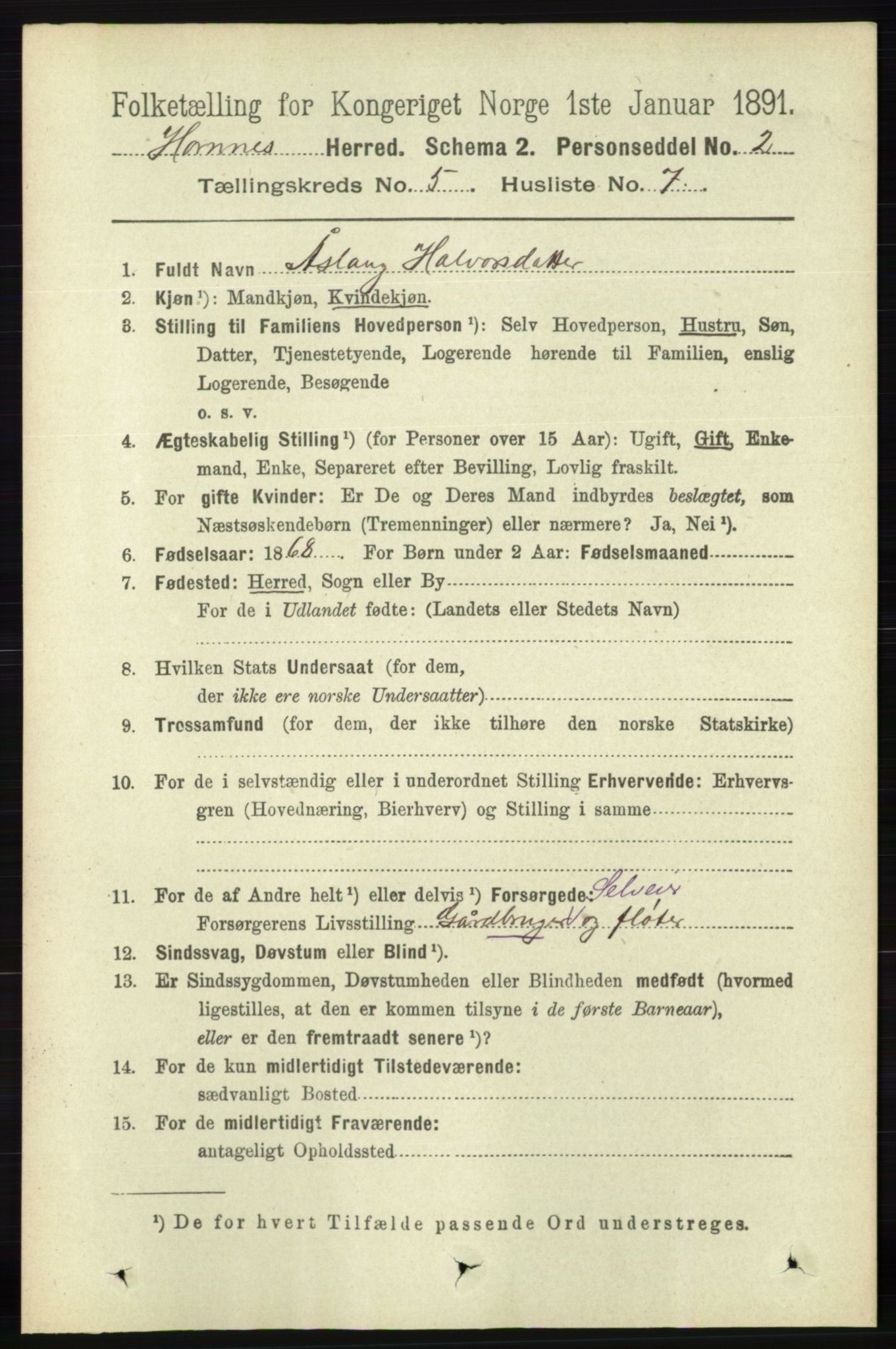 RA, 1891 census for 0936 Hornnes, 1891, p. 1397