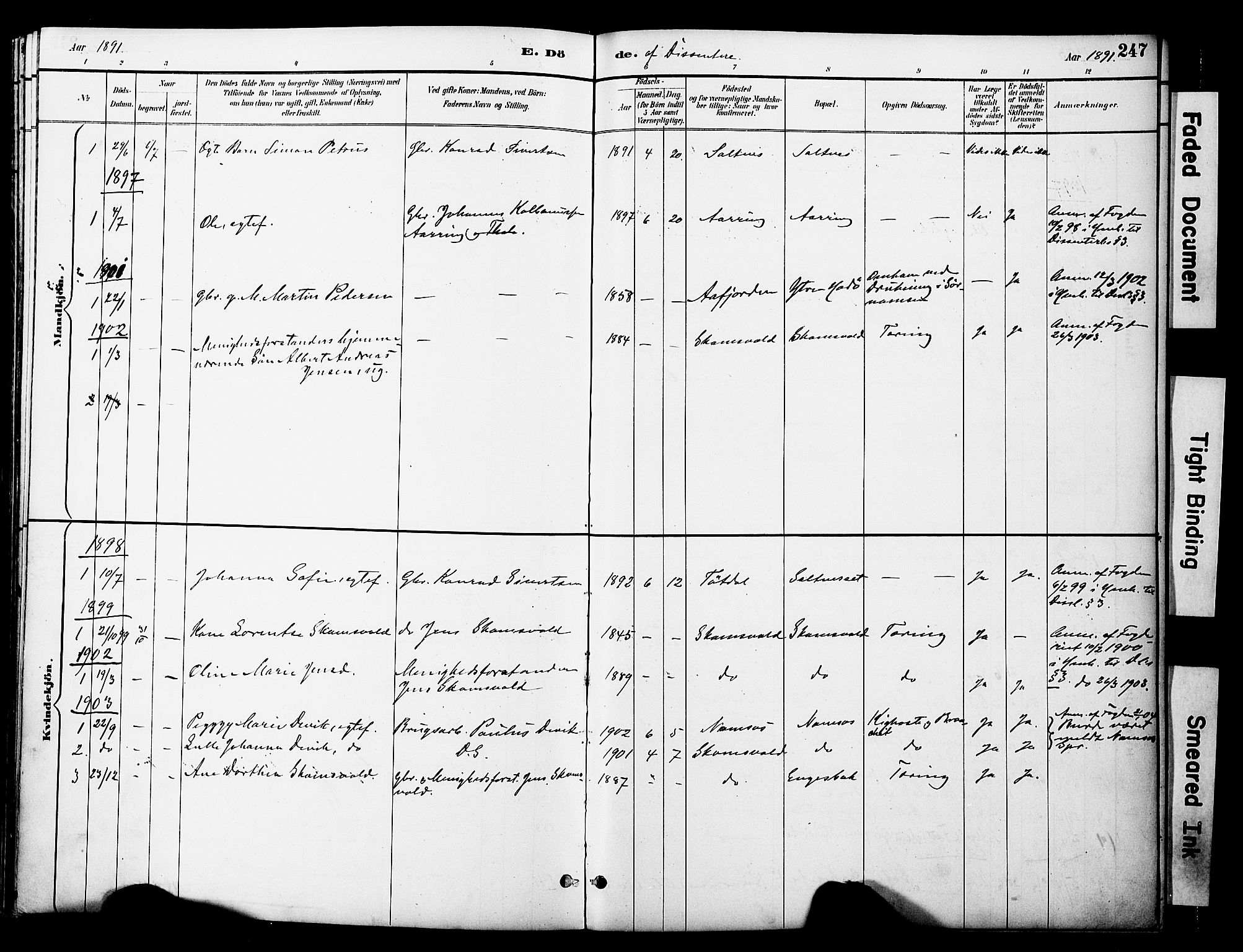 Ministerialprotokoller, klokkerbøker og fødselsregistre - Nord-Trøndelag, SAT/A-1458/774/L0628: Parish register (official) no. 774A02, 1887-1903, p. 247