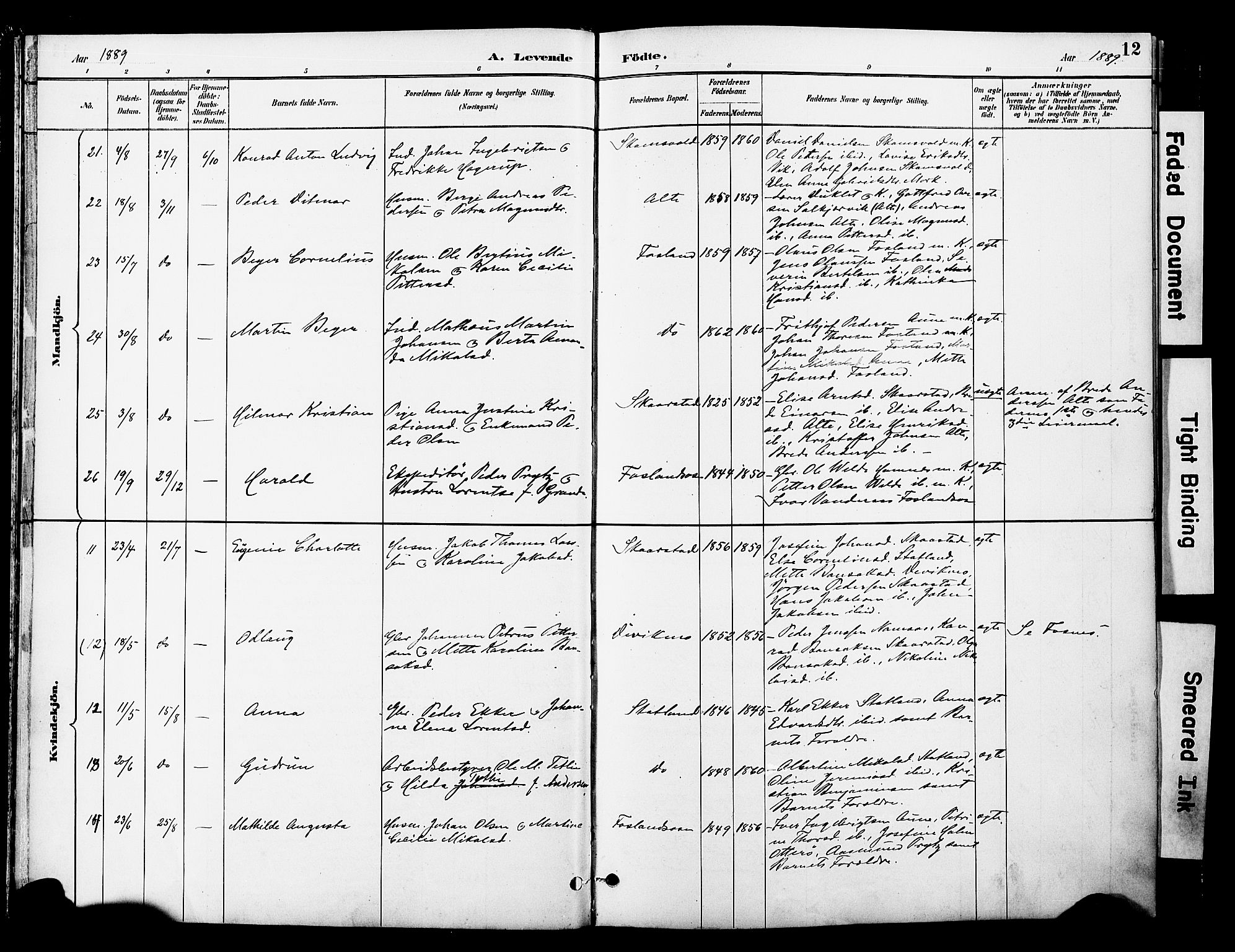 Ministerialprotokoller, klokkerbøker og fødselsregistre - Nord-Trøndelag, SAT/A-1458/774/L0628: Parish register (official) no. 774A02, 1887-1903, p. 12