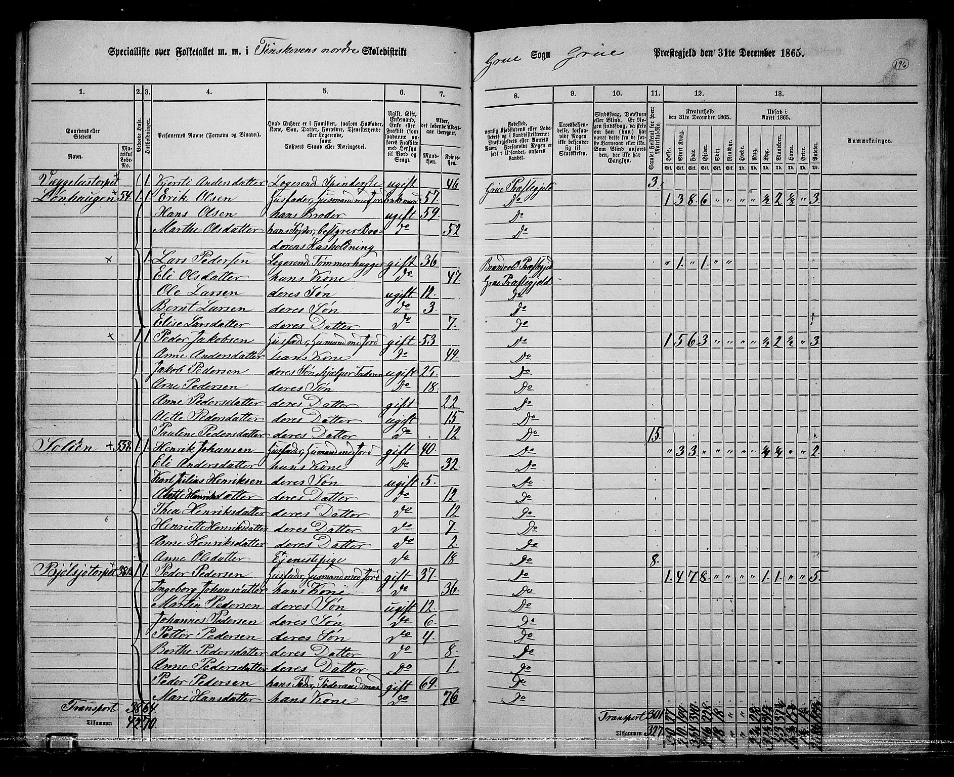 RA, 1865 census for Grue, 1865, p. 172