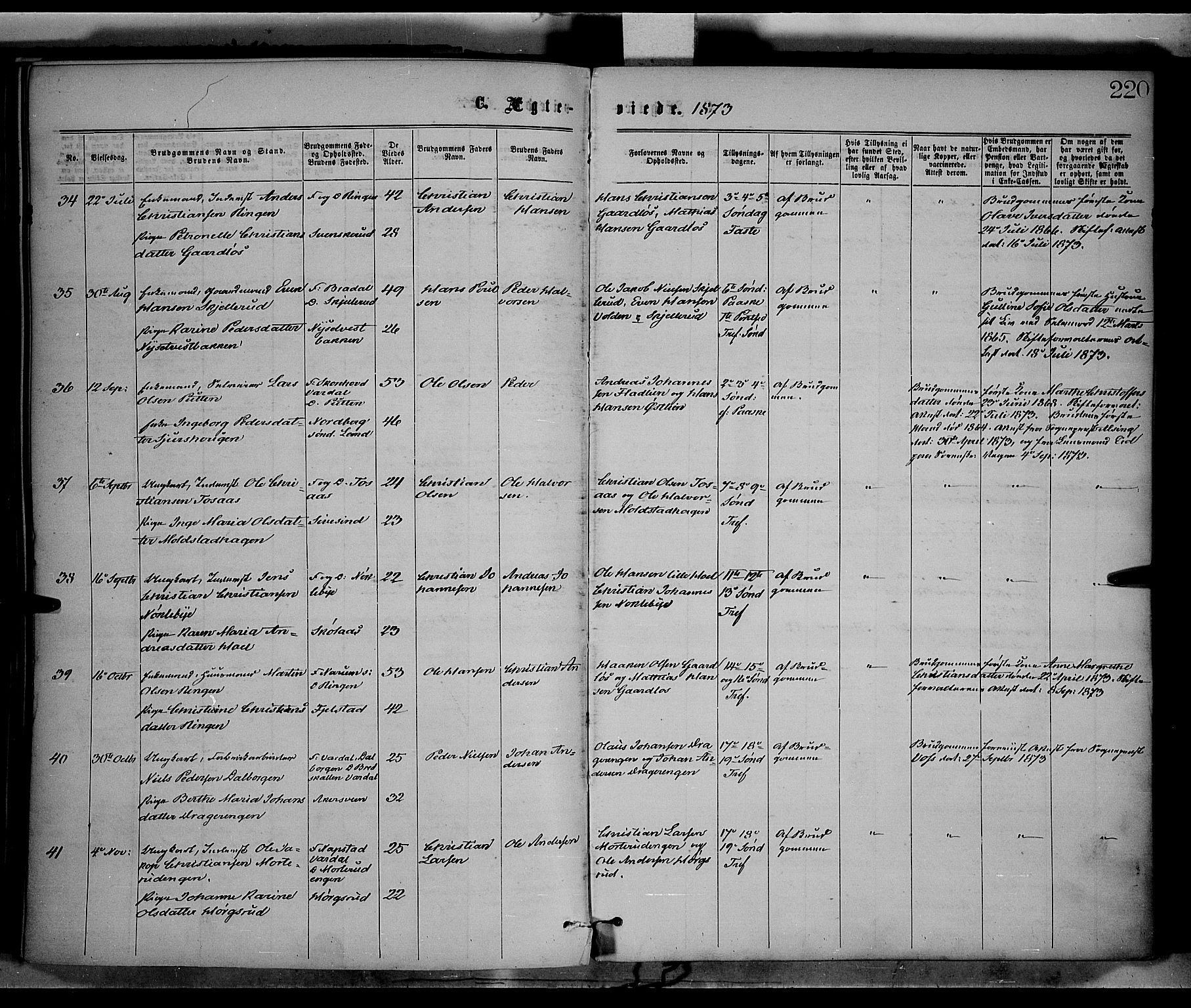 Vestre Toten prestekontor, AV/SAH-PREST-108/H/Ha/Haa/L0008: Parish register (official) no. 8, 1870-1877, p. 220