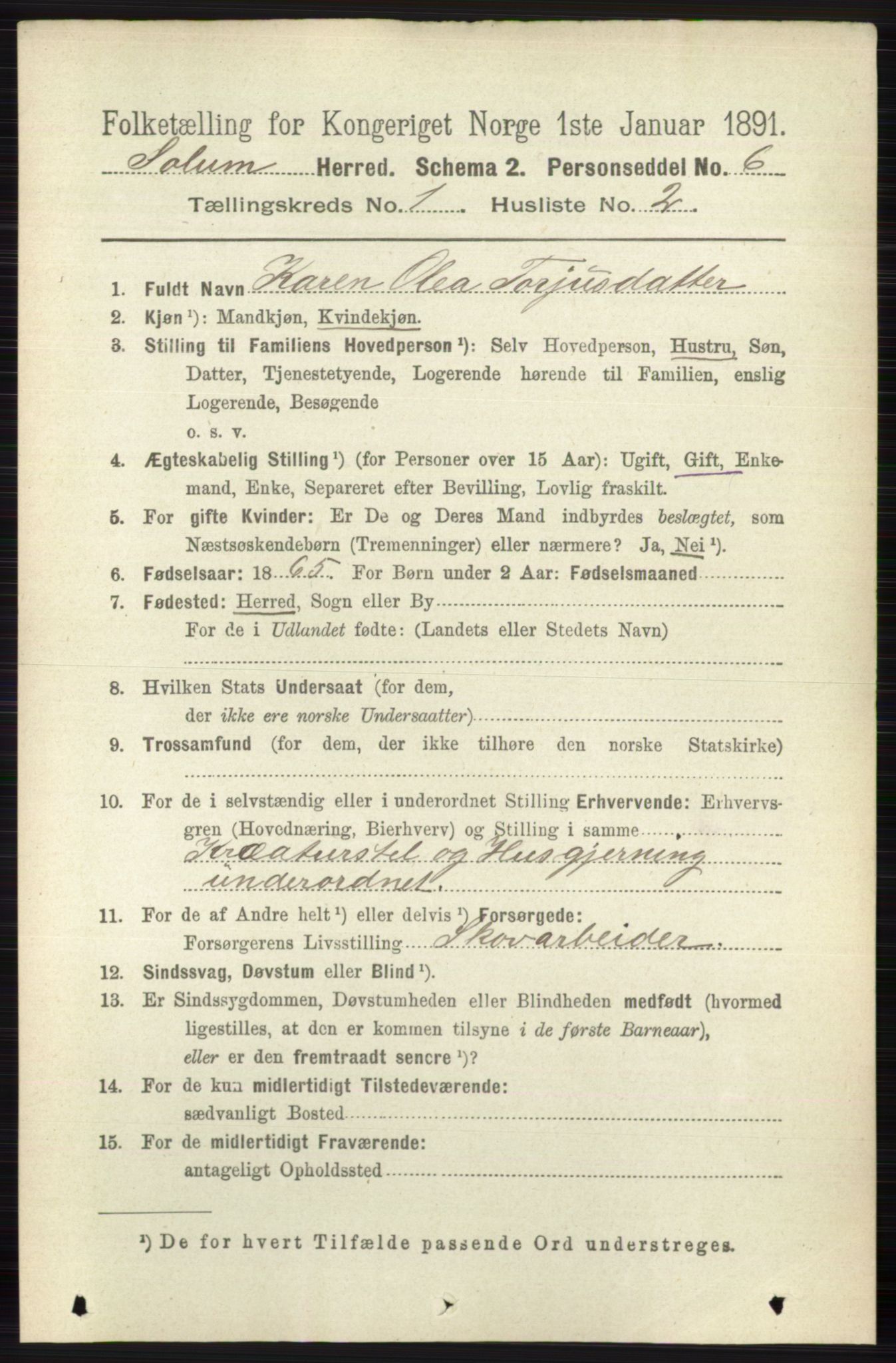 RA, 1891 census for 0818 Solum, 1891, p. 56