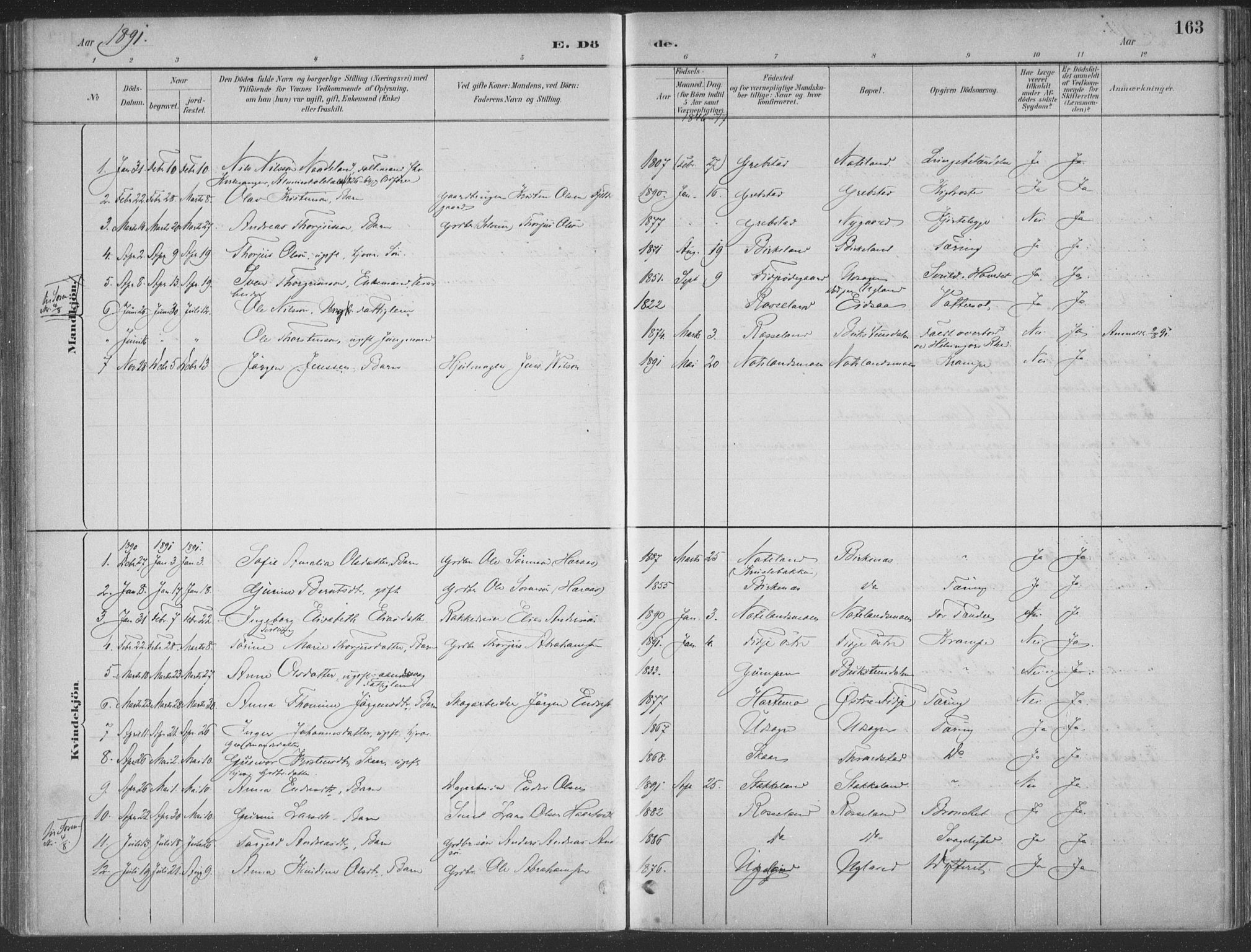 Søgne sokneprestkontor, SAK/1111-0037/F/Fa/Faa/L0003: Parish register (official) no. A 3, 1883-1910, p. 163
