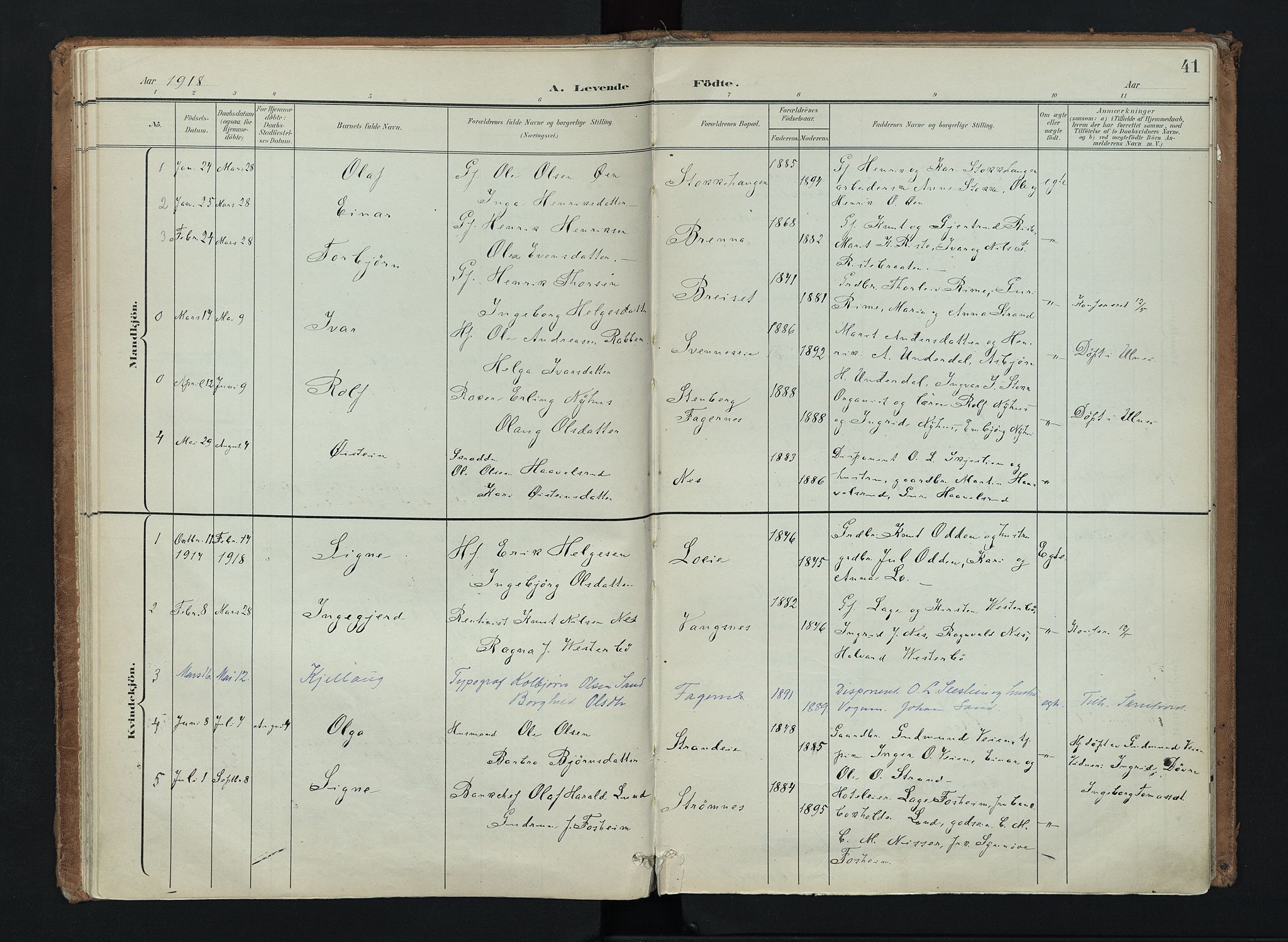 Nord-Aurdal prestekontor, SAH/PREST-132/H/Ha/Haa/L0016: Parish register (official) no. 16, 1897-1925, p. 41