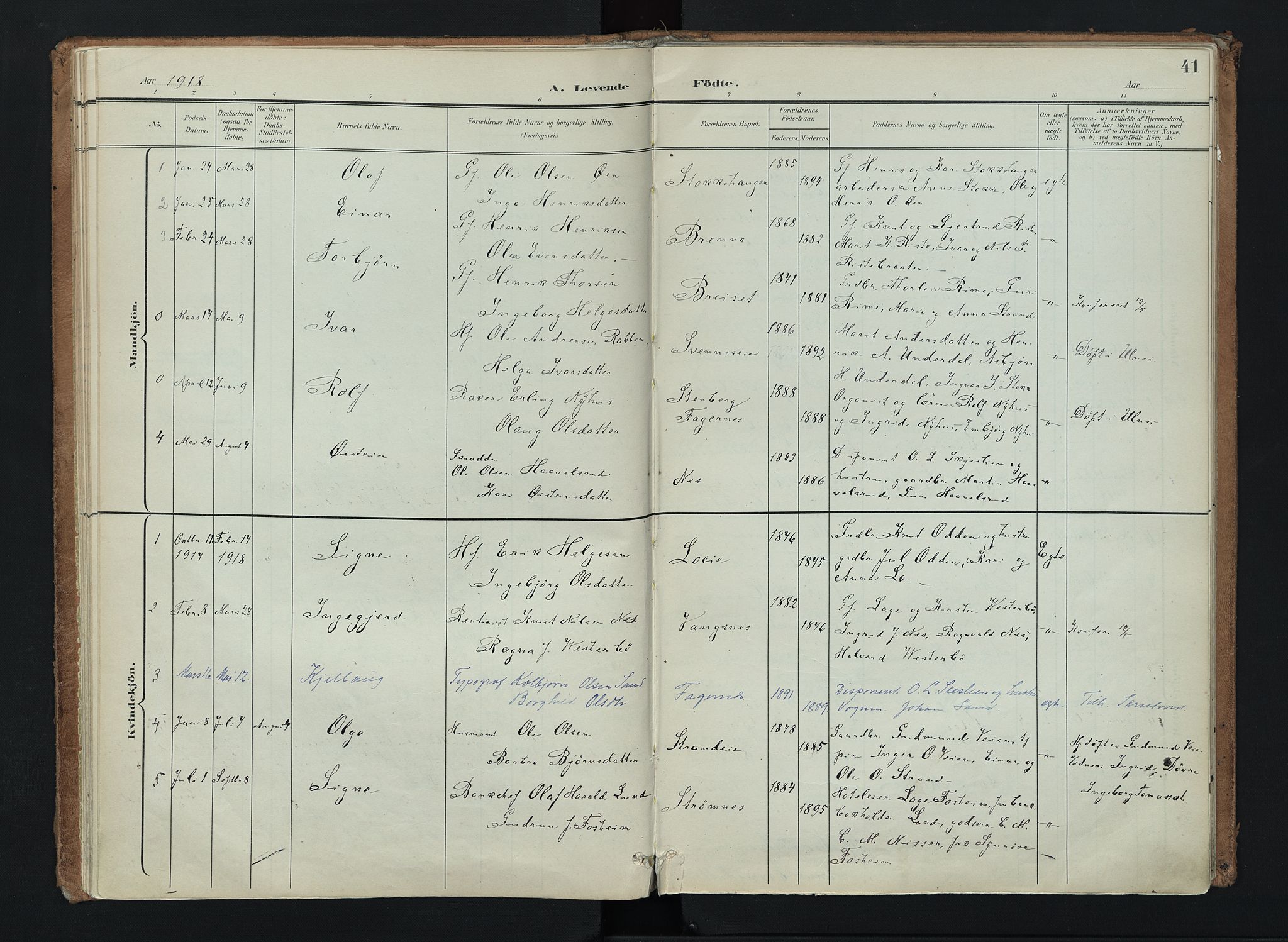 Nord-Aurdal prestekontor, AV/SAH-PREST-132/H/Ha/Haa/L0016: Parish register (official) no. 16, 1897-1925, p. 41