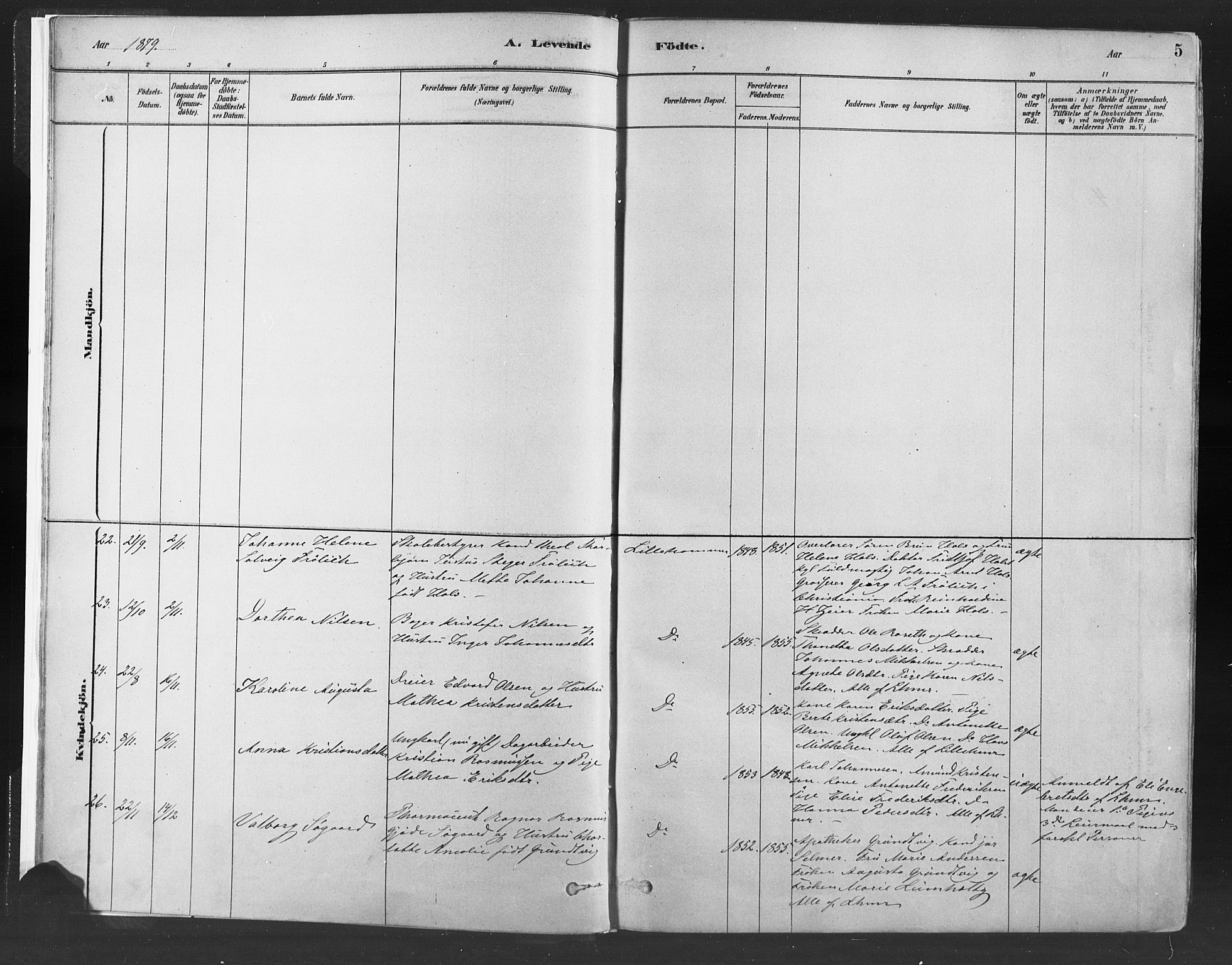 Fåberg prestekontor, SAH/PREST-086/H/Ha/Haa/L0010: Parish register (official) no. 10, 1879-1900, p. 5