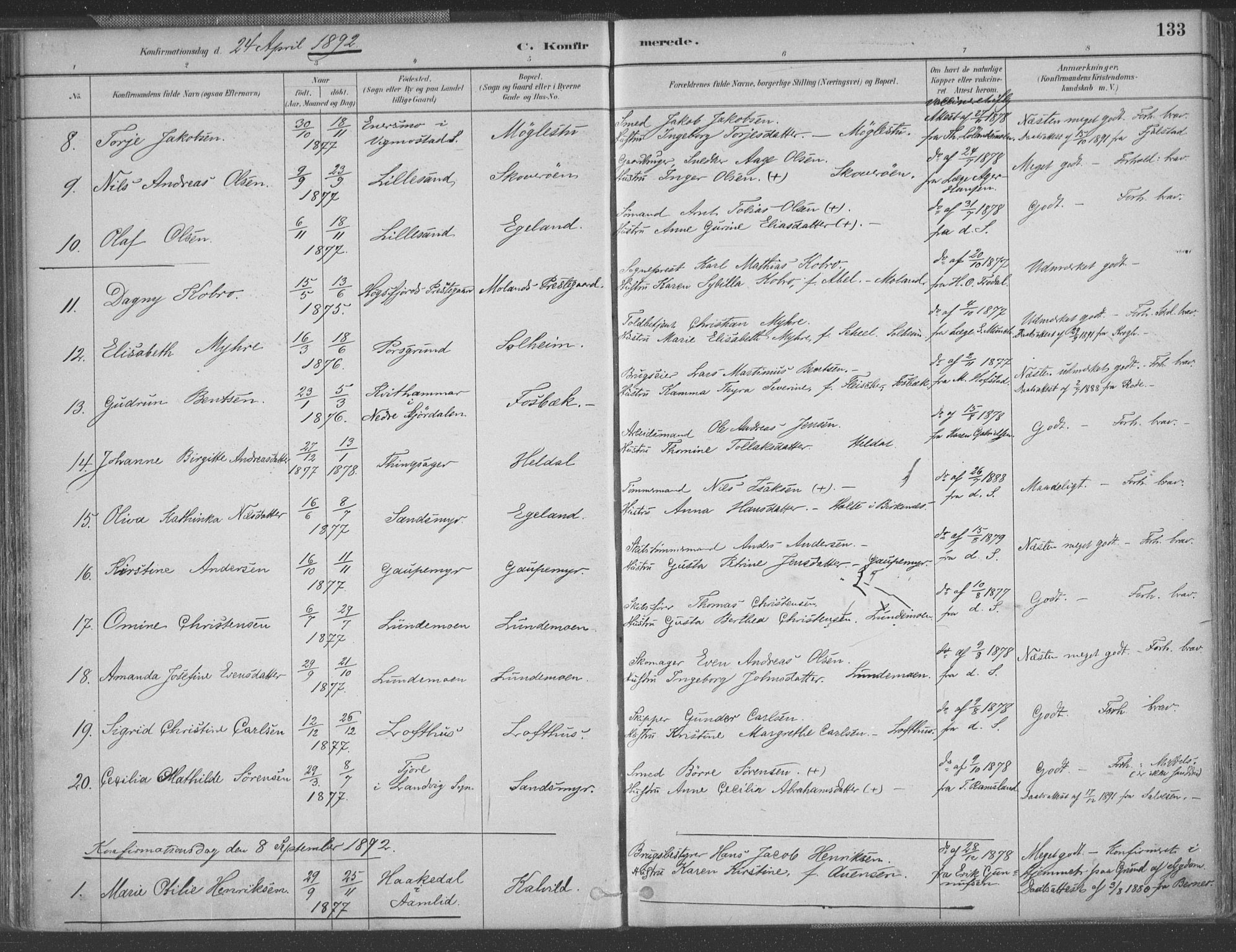 Vestre Moland sokneprestkontor, AV/SAK-1111-0046/F/Fa/Fab/L0009: Parish register (official) no. A 9, 1884-1899, p. 133