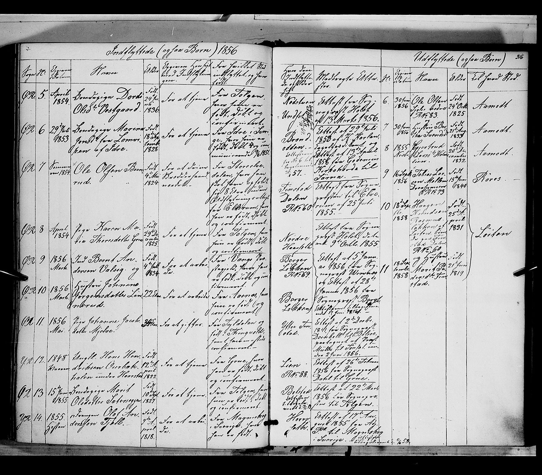Rendalen prestekontor, SAH/PREST-054/H/Ha/Haa/L0005: Parish register (official) no. 5, 1853-1866, p. 316