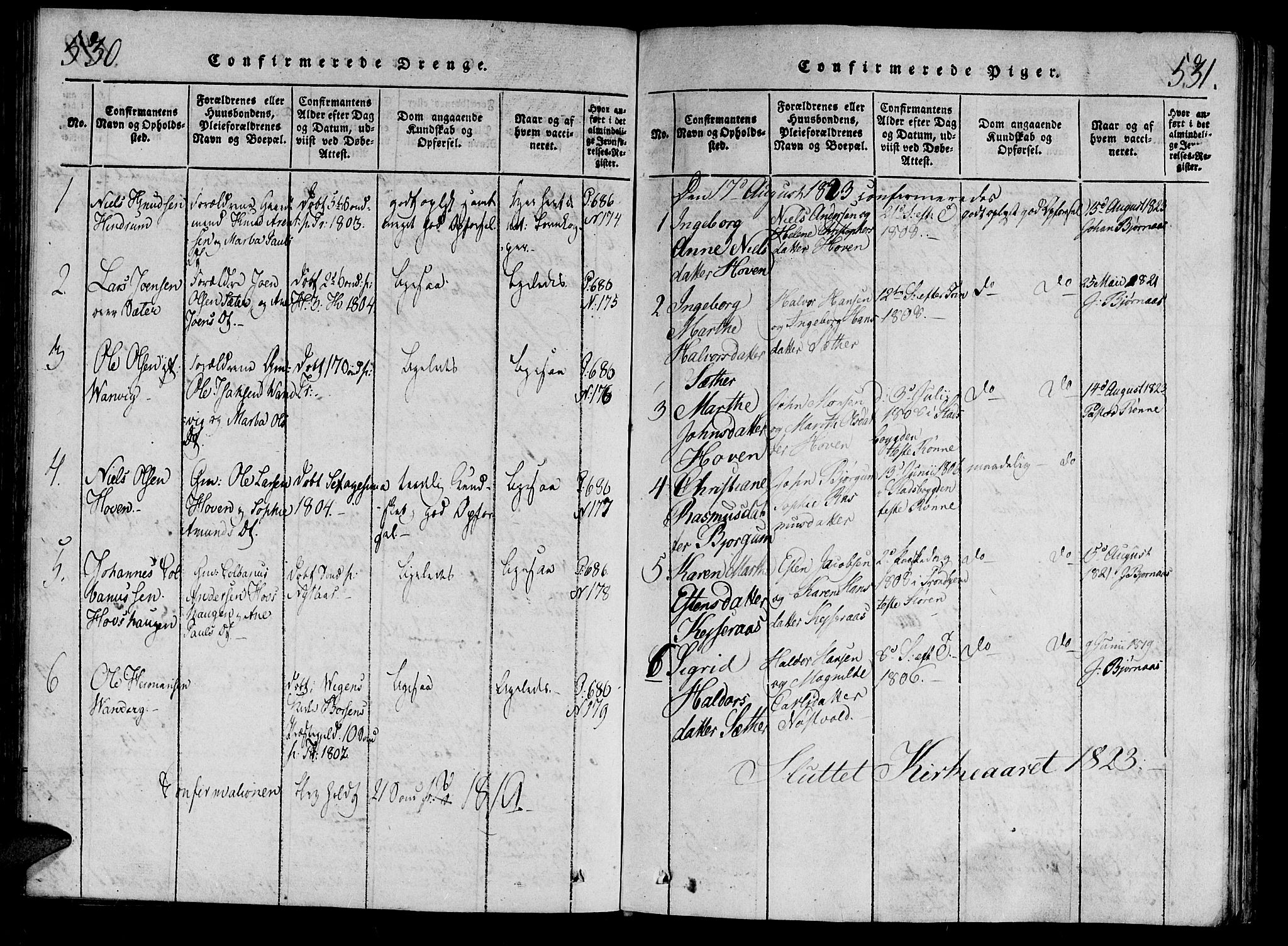 Ministerialprotokoller, klokkerbøker og fødselsregistre - Nord-Trøndelag, SAT/A-1458/701/L0005: Parish register (official) no. 701A05 /2, 1816-1825, p. 530-531