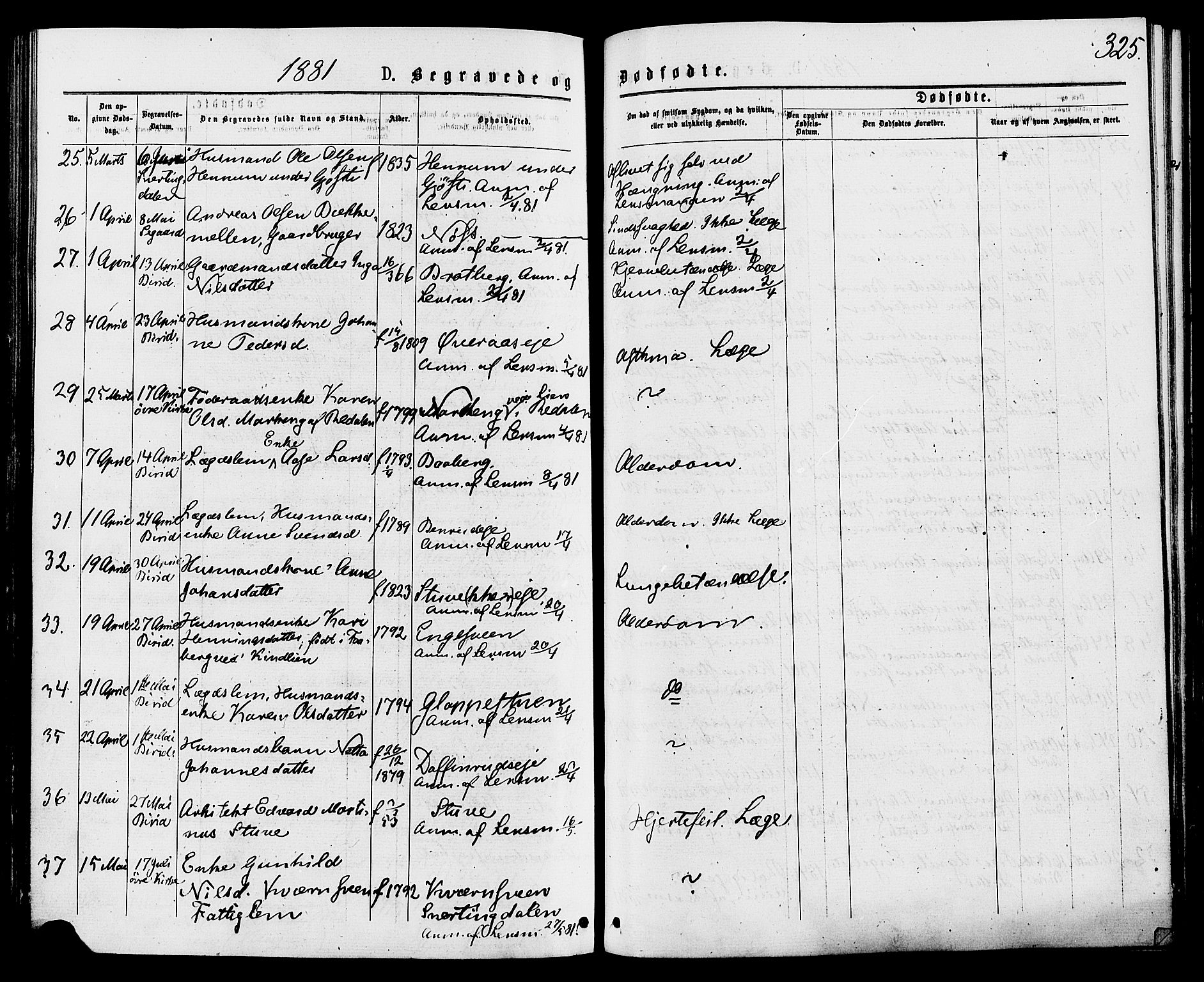 Biri prestekontor, AV/SAH-PREST-096/H/Ha/Haa/L0006: Parish register (official) no. 6, 1877-1886, p. 325