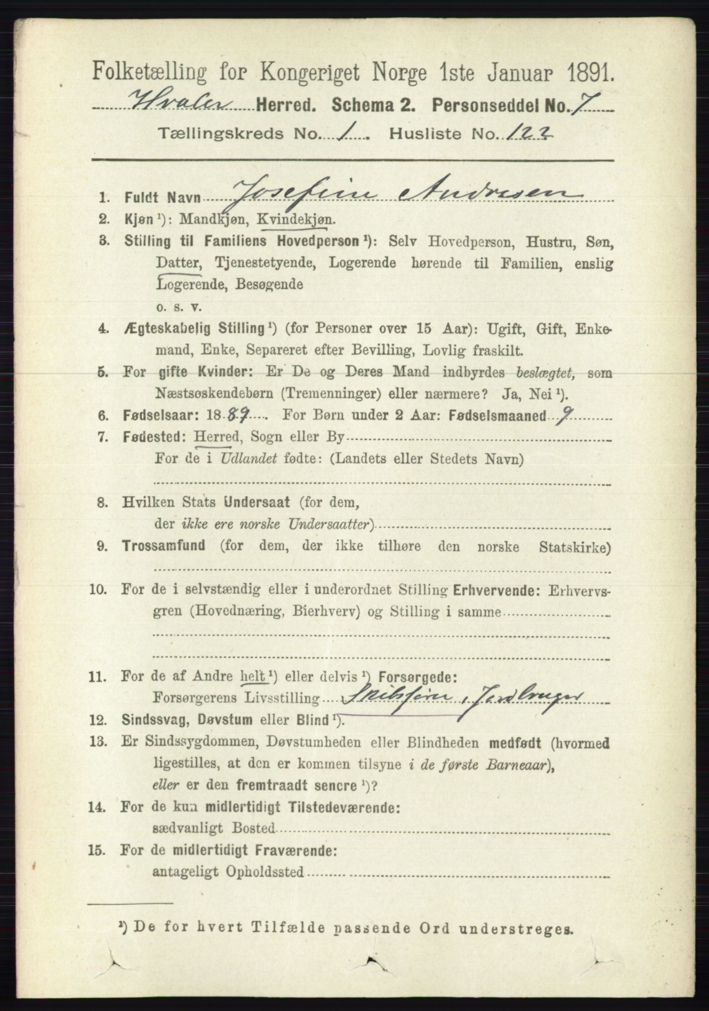 RA, 1891 census for 0111 Hvaler, 1891, p. 875