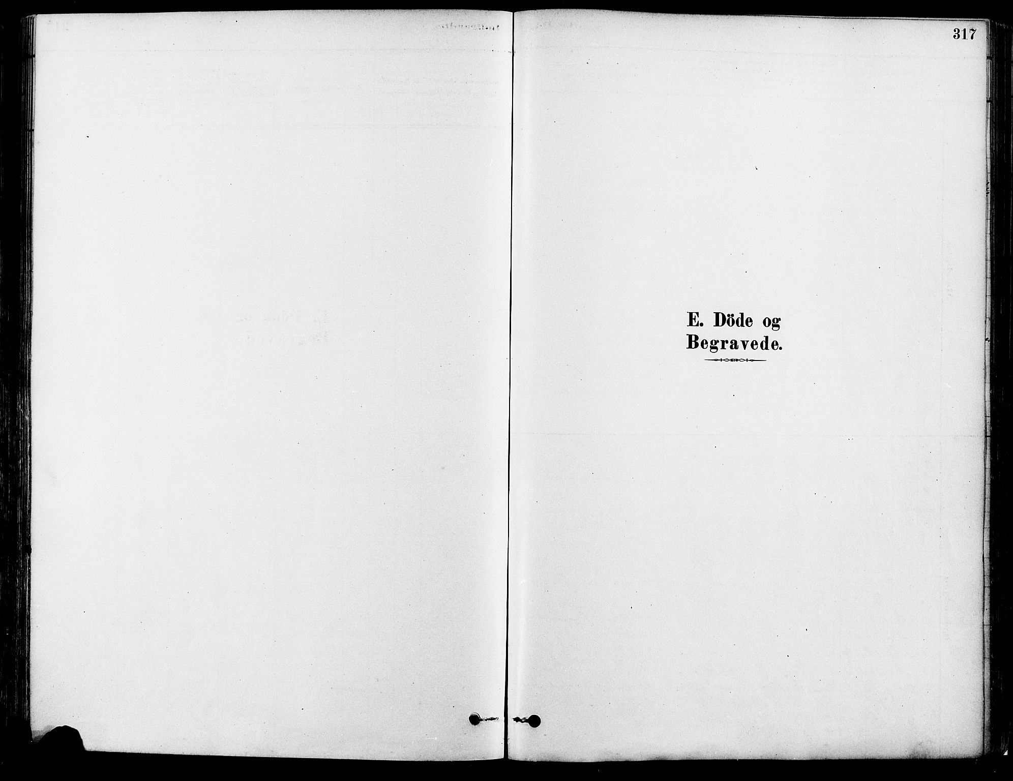 Eidskog prestekontor, AV/SAH-PREST-026/H/Ha/Haa/L0003: Parish register (official) no. 3, 1879-1892, p. 317