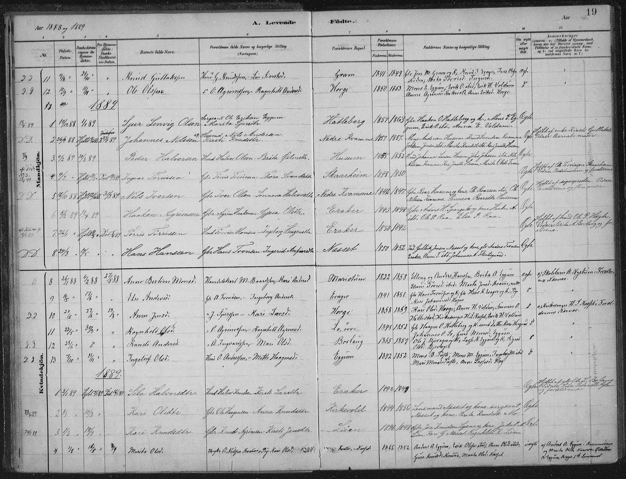 Lærdal sokneprestembete, SAB/A-81201: Parish register (official) no. C  1, 1878-1911, p. 19