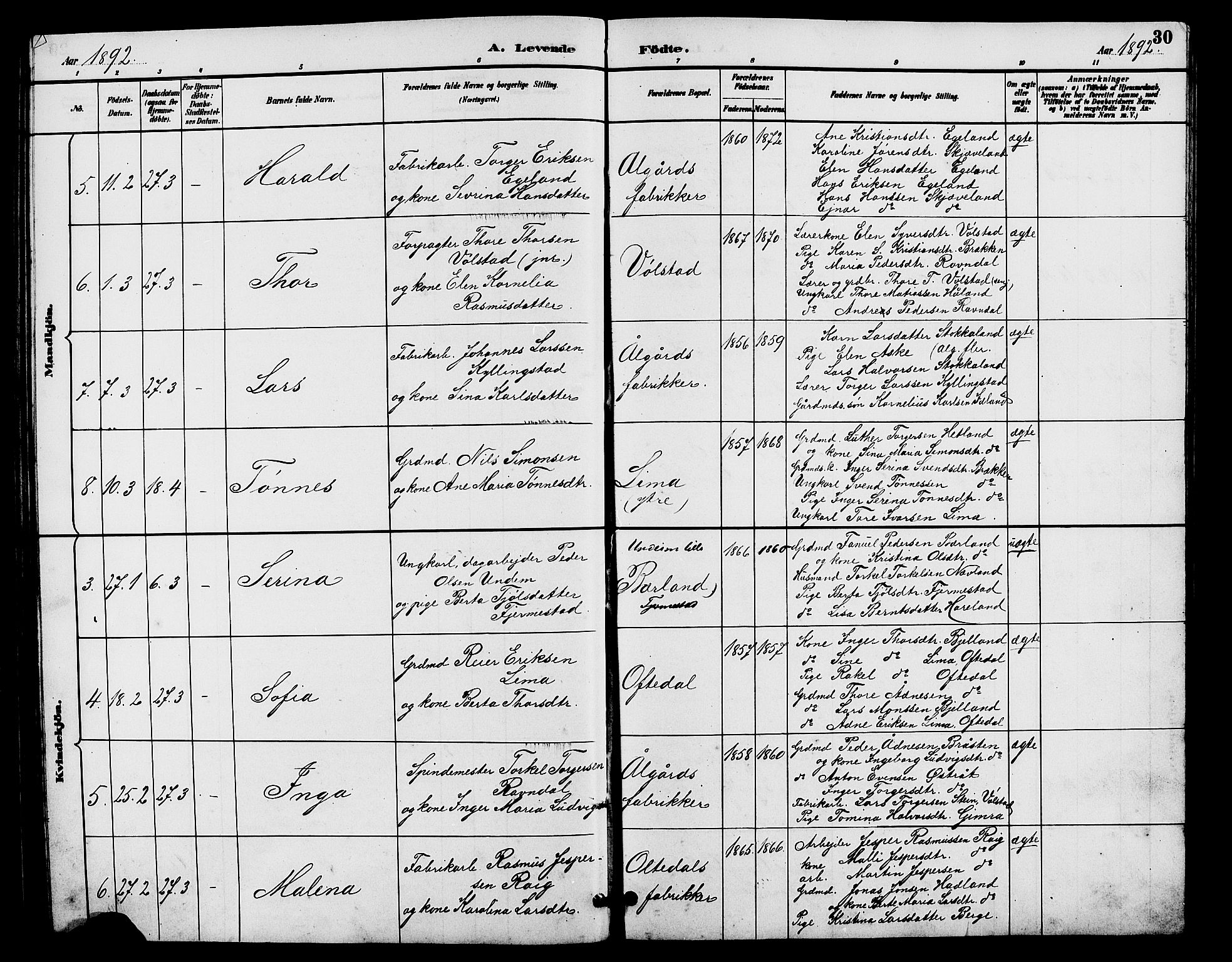 Lye sokneprestkontor, AV/SAST-A-101794/001/30BB/L0008: Parish register (copy) no. B 7, 1887-1901, p. 30