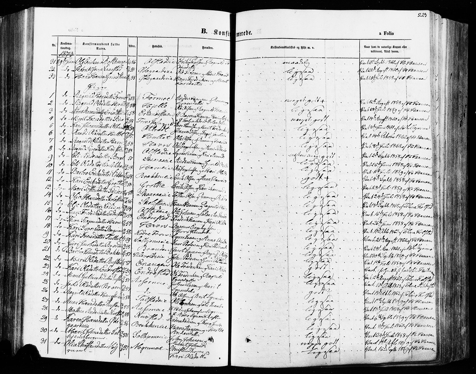 Vågå prestekontor, SAH/PREST-076/H/Ha/Haa/L0007: Parish register (official) no. 7 /1, 1872-1886, p. 223