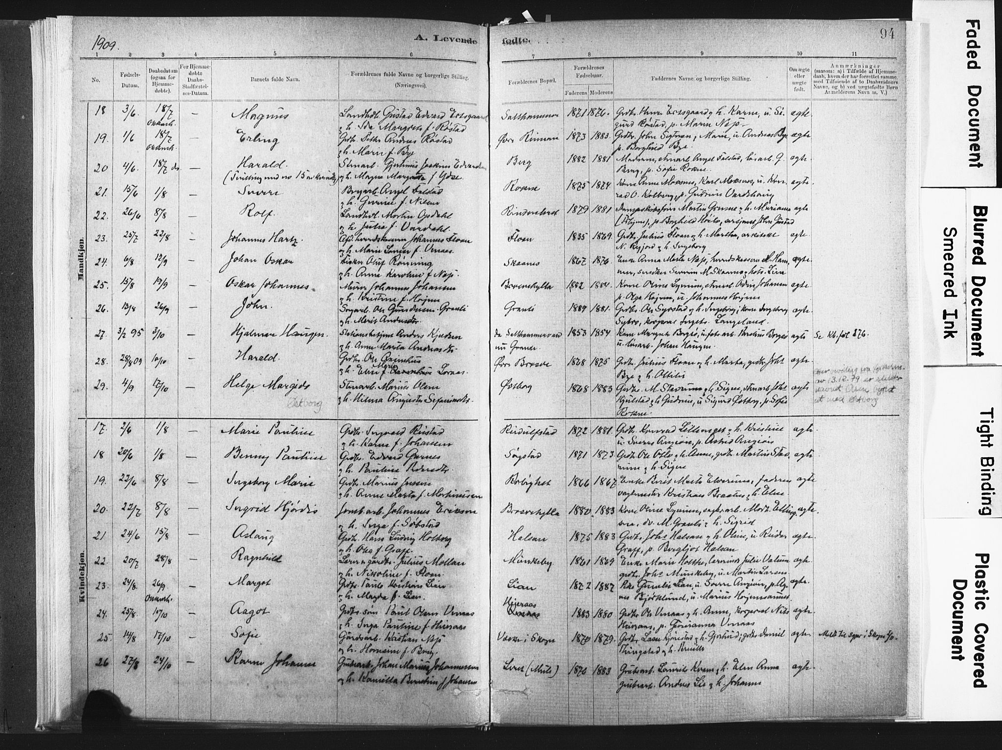 Ministerialprotokoller, klokkerbøker og fødselsregistre - Nord-Trøndelag, SAT/A-1458/721/L0207: Parish register (official) no. 721A02, 1880-1911, p. 94