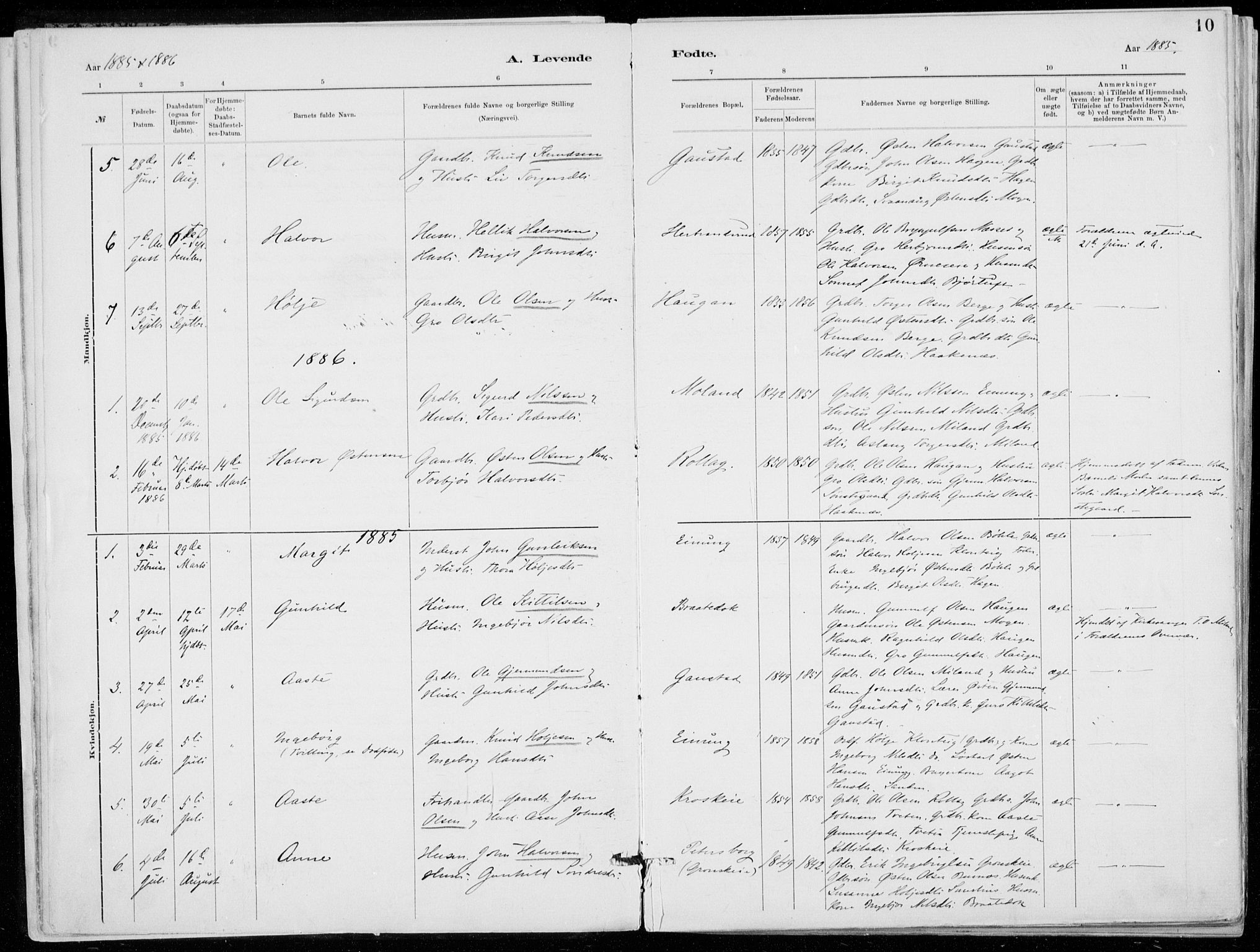 Tinn kirkebøker, AV/SAKO-A-308/F/Fb/L0002: Parish register (official) no. II 2, 1878-1917, p. 10