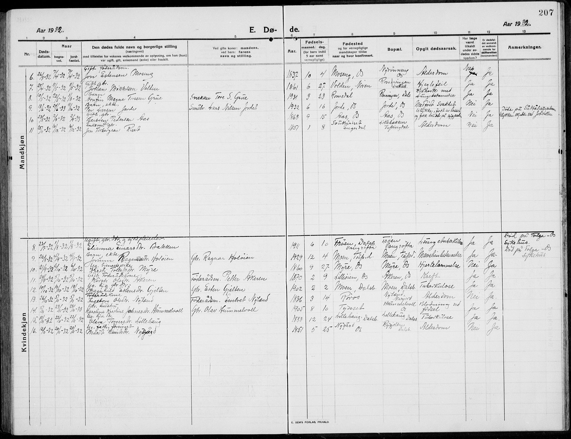 Tolga prestekontor, SAH/PREST-062/L/L0014: Parish register (copy) no. 14, 1913-1936, p. 207