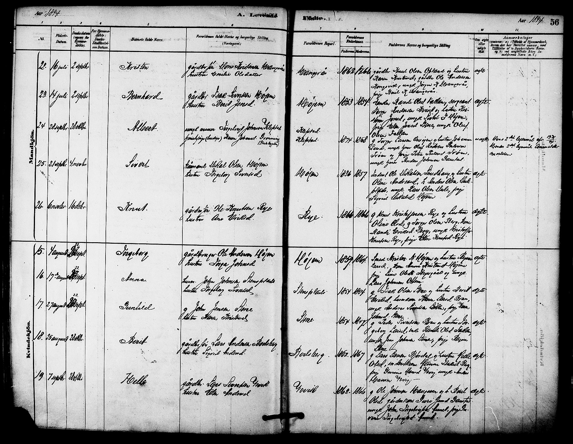 Ministerialprotokoller, klokkerbøker og fødselsregistre - Sør-Trøndelag, SAT/A-1456/612/L0378: Parish register (official) no. 612A10, 1878-1897, p. 56