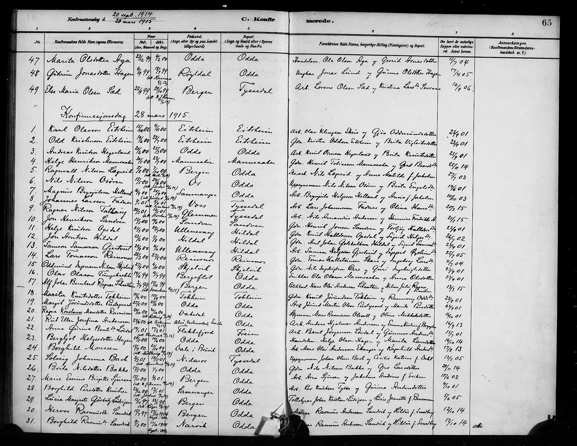 Odda Sokneprestembete, SAB/A-77201/H/Haa: Parish register (official) no. A 2, 1880-1915, p. 65