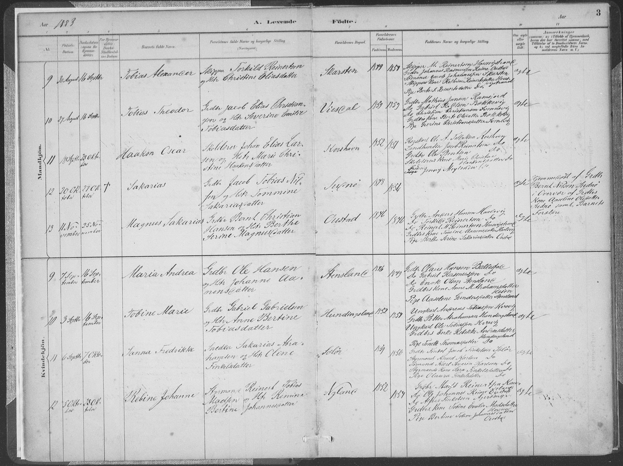 Lyngdal sokneprestkontor, AV/SAK-1111-0029/F/Fa/Faa/L0004: Parish register (official) no. A 4, 1883-1904, p. 3