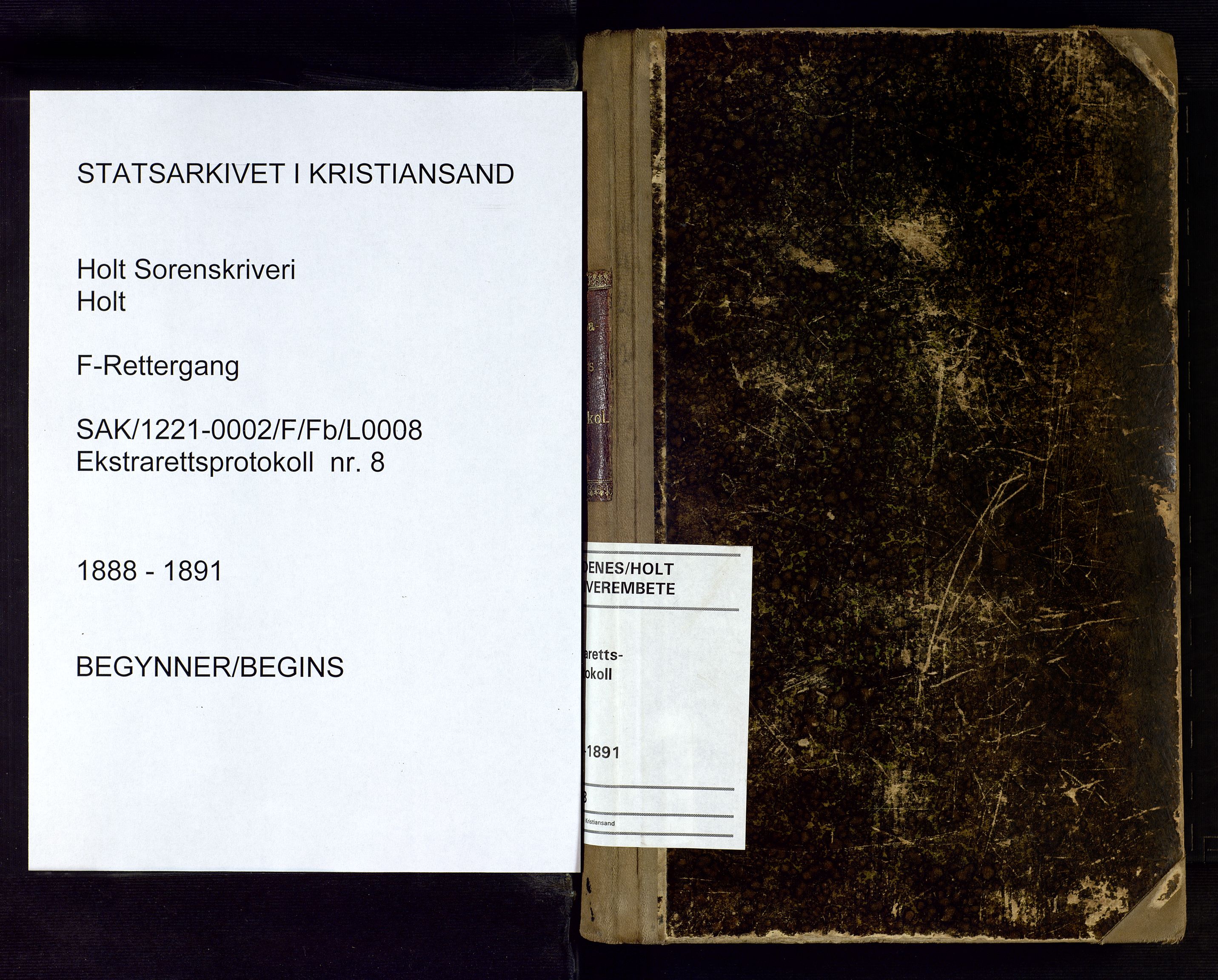 Holt sorenskriveri, SAK/1221-0002/F/Fb/L0008: Ekstrarettsprotokoll nr 8, 1888-1891