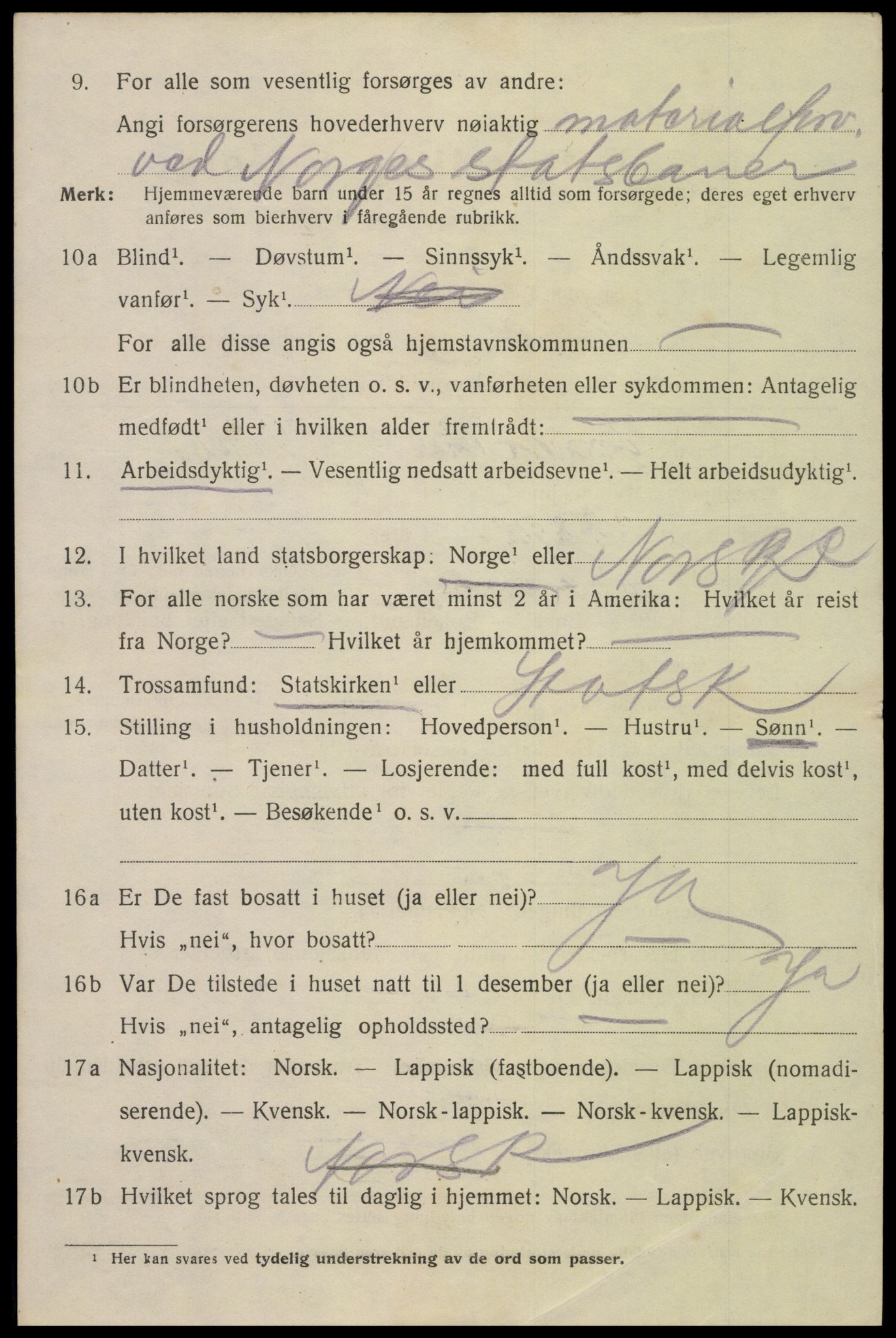 SAT, 1920 census for Narvik, 1920, p. 11739