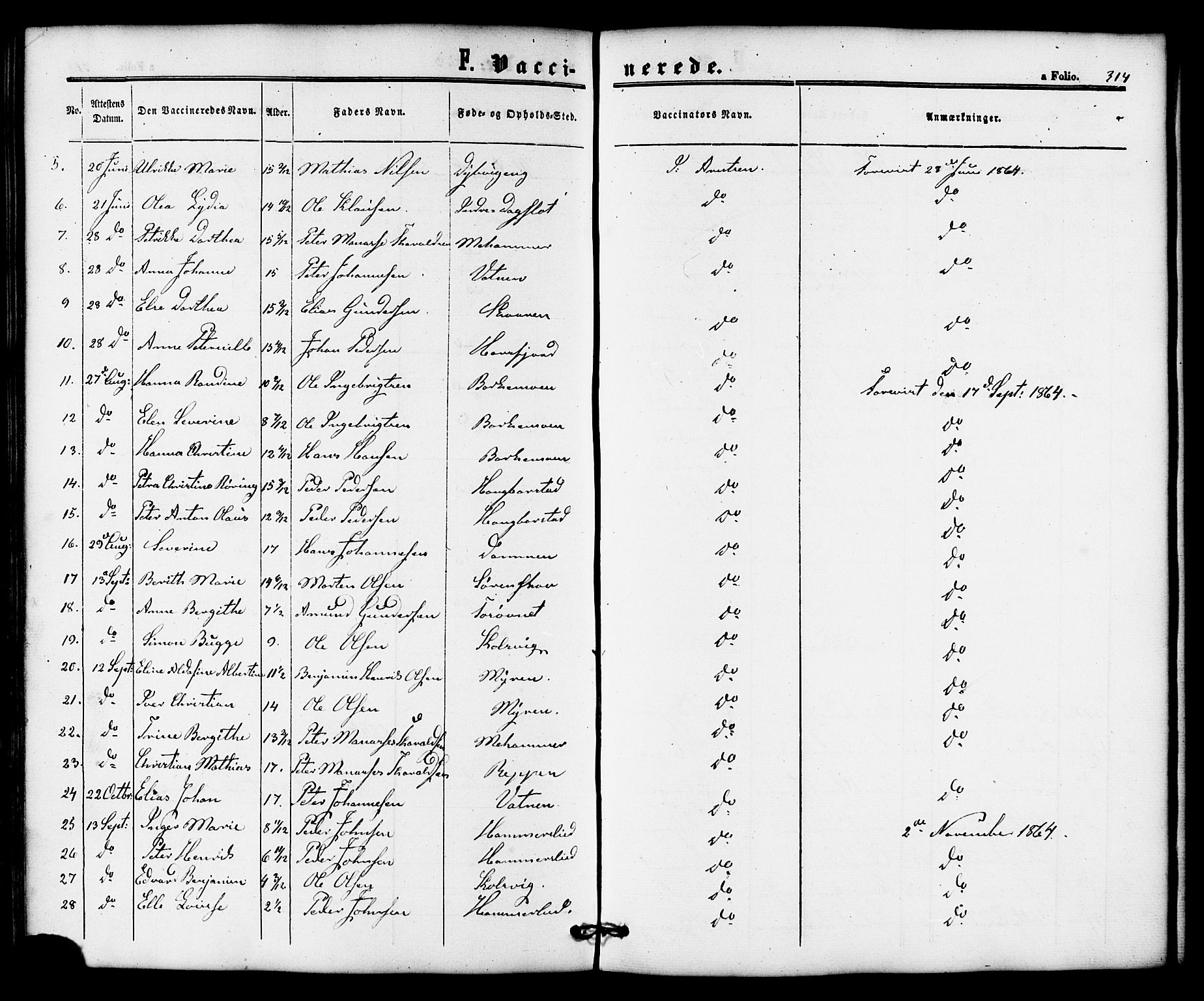 Ministerialprotokoller, klokkerbøker og fødselsregistre - Nordland, AV/SAT-A-1459/810/L0146: Parish register (official) no. 810A08 /1, 1862-1874, p. 314