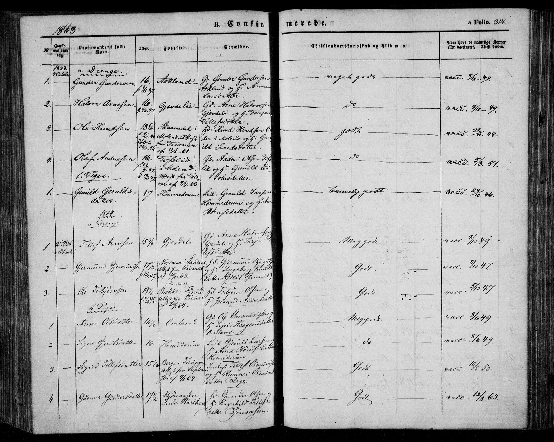 Åmli sokneprestkontor, SAK/1111-0050/F/Fa/Fac/L0008: Parish register (official) no. A 8, 1852-1869, p. 314