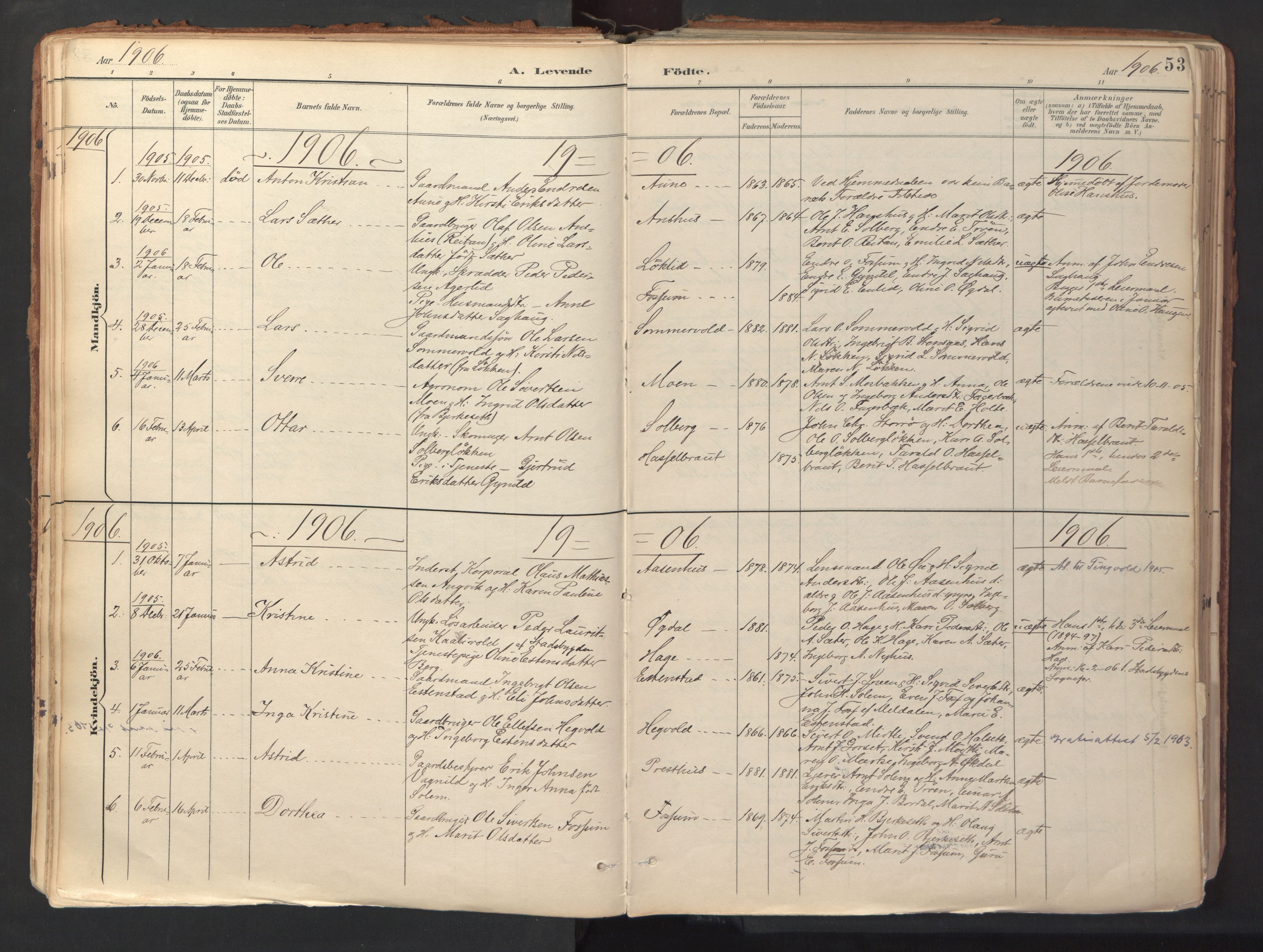 Ministerialprotokoller, klokkerbøker og fødselsregistre - Sør-Trøndelag, SAT/A-1456/689/L1041: Parish register (official) no. 689A06, 1891-1923, p. 53