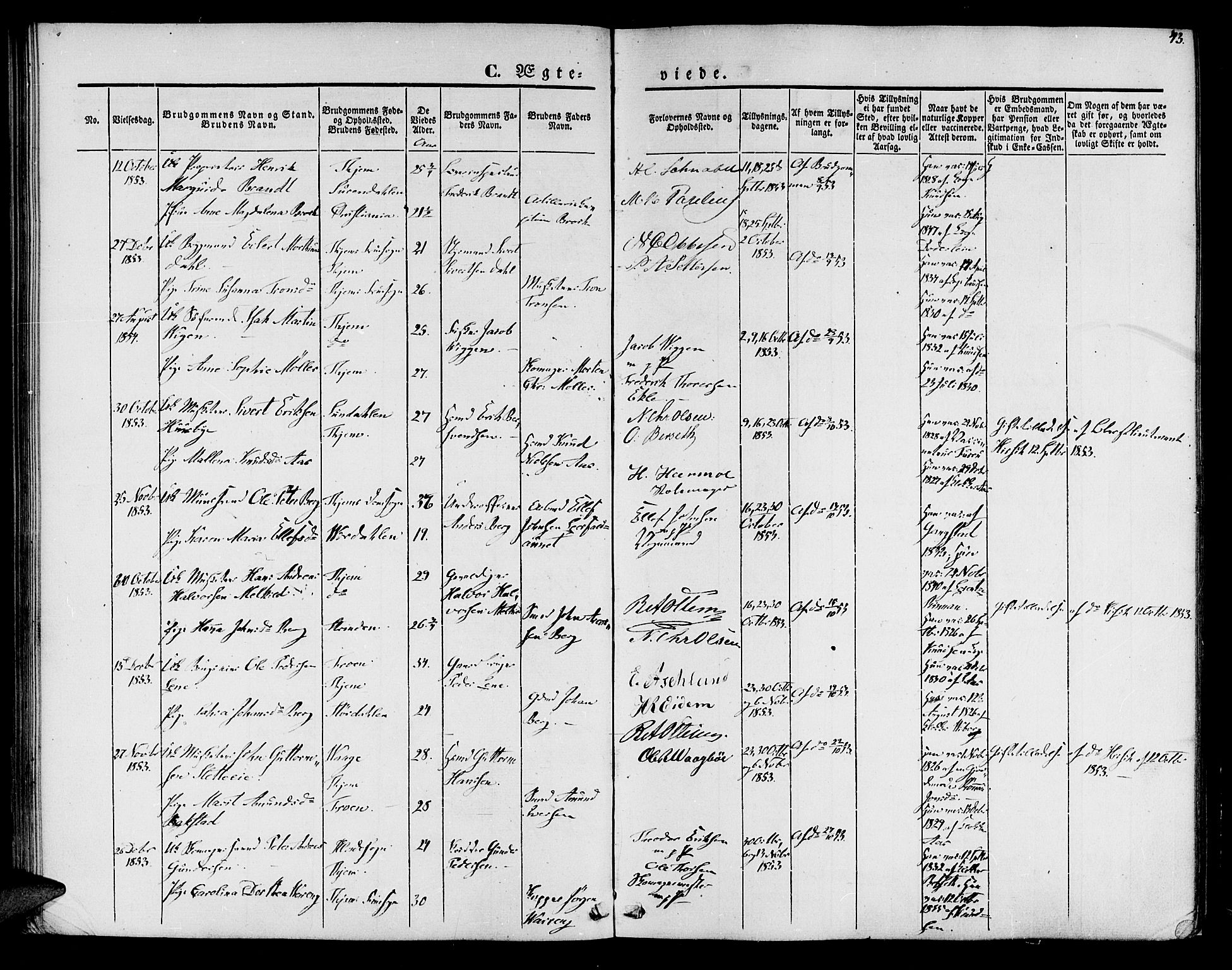 Ministerialprotokoller, klokkerbøker og fødselsregistre - Sør-Trøndelag, AV/SAT-A-1456/602/L0111: Parish register (official) no. 602A09, 1844-1867, p. 43