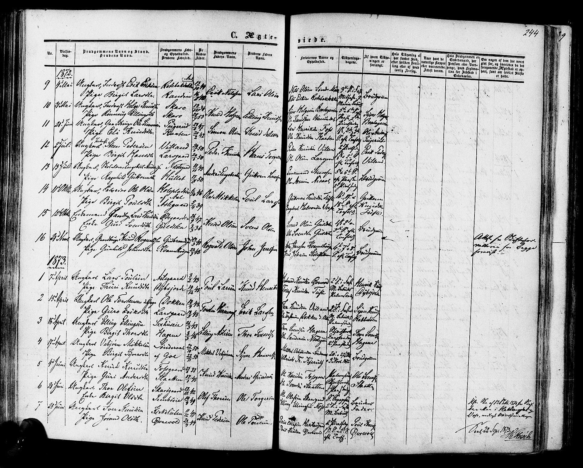 Hol kirkebøker, SAKO/A-227/F/Fa/L0002: Parish register (official) no. I 2, 1870-1886, p. 244