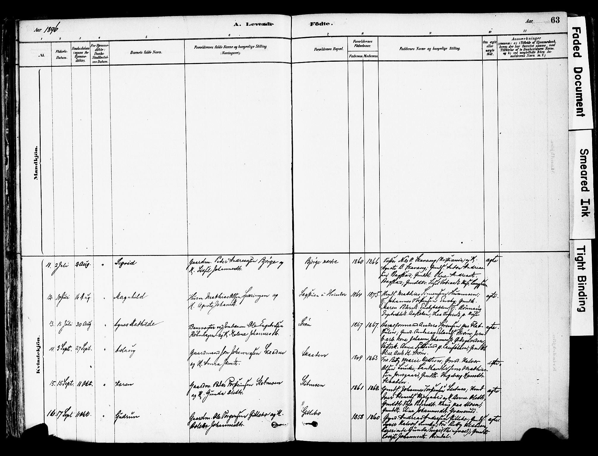 Øyer prestekontor, AV/SAH-PREST-084/H/Ha/Haa/L0008: Parish register (official) no. 8, 1878-1897, p. 63