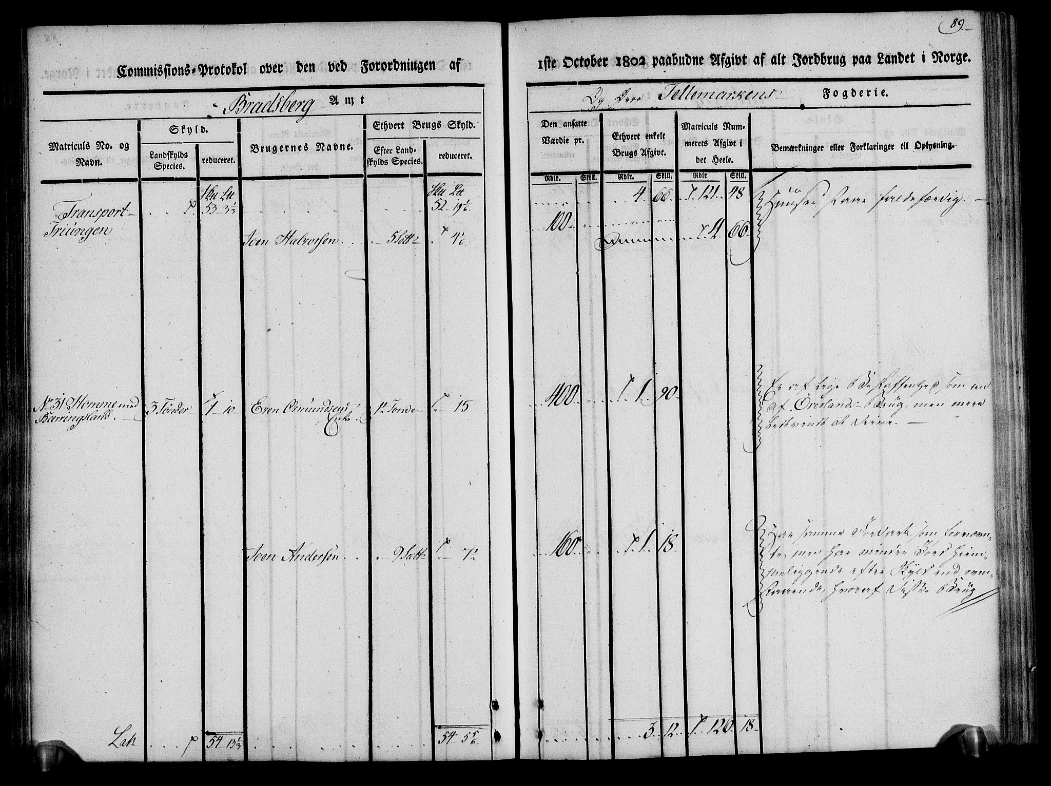 Rentekammeret inntil 1814, Realistisk ordnet avdeling, AV/RA-EA-4070/N/Ne/Nea/L0075: Øvre Telemarken fogderi. Kommisjonsprotokoll for fogderiets vestre del - Kviteseid, Vinje, Moland [):Fyresdal] og Lårdal prestegjeld., 1803, p. 89