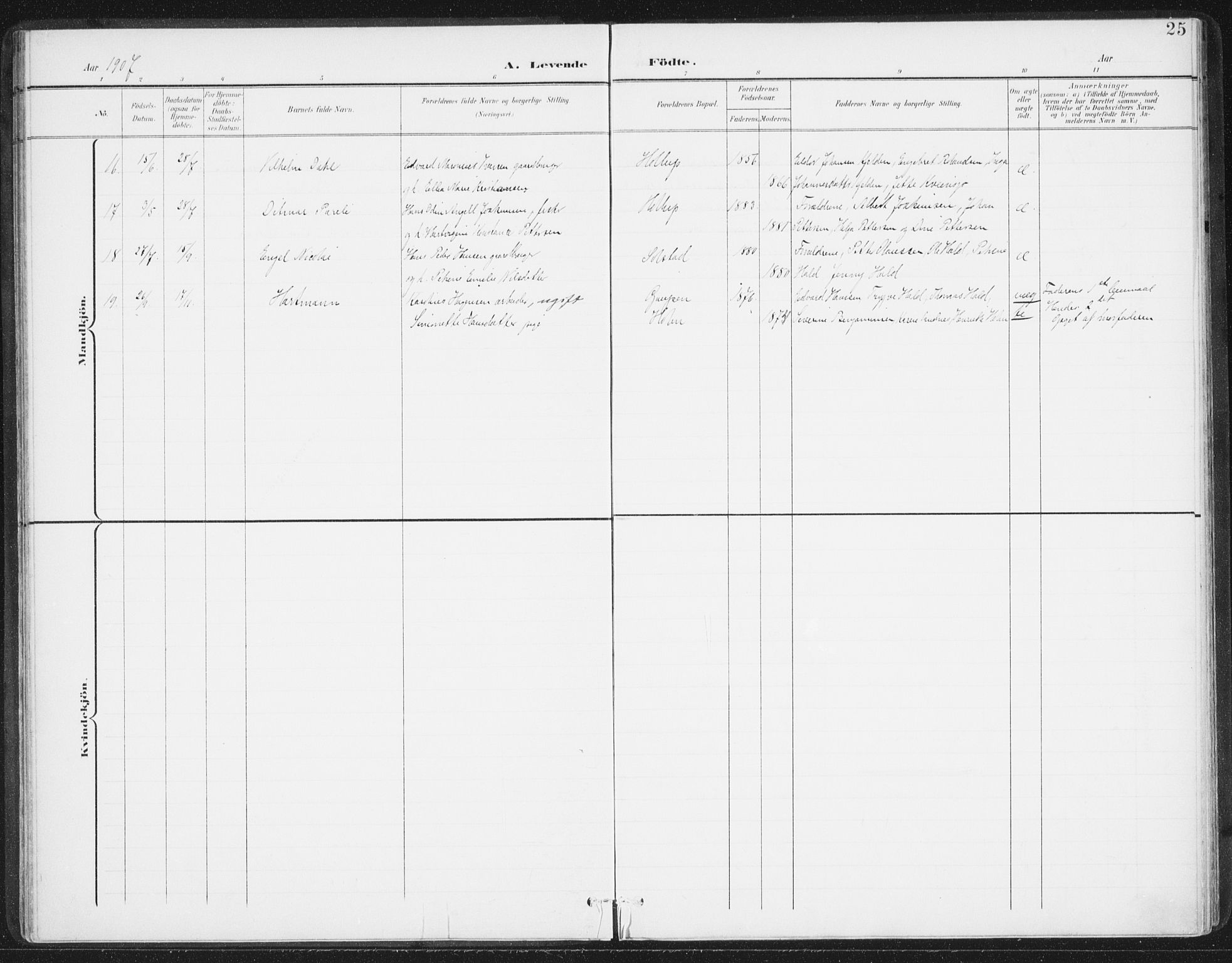 Ministerialprotokoller, klokkerbøker og fødselsregistre - Nordland, AV/SAT-A-1459/811/L0167: Parish register (official) no. 811A04, 1899-1913, p. 25