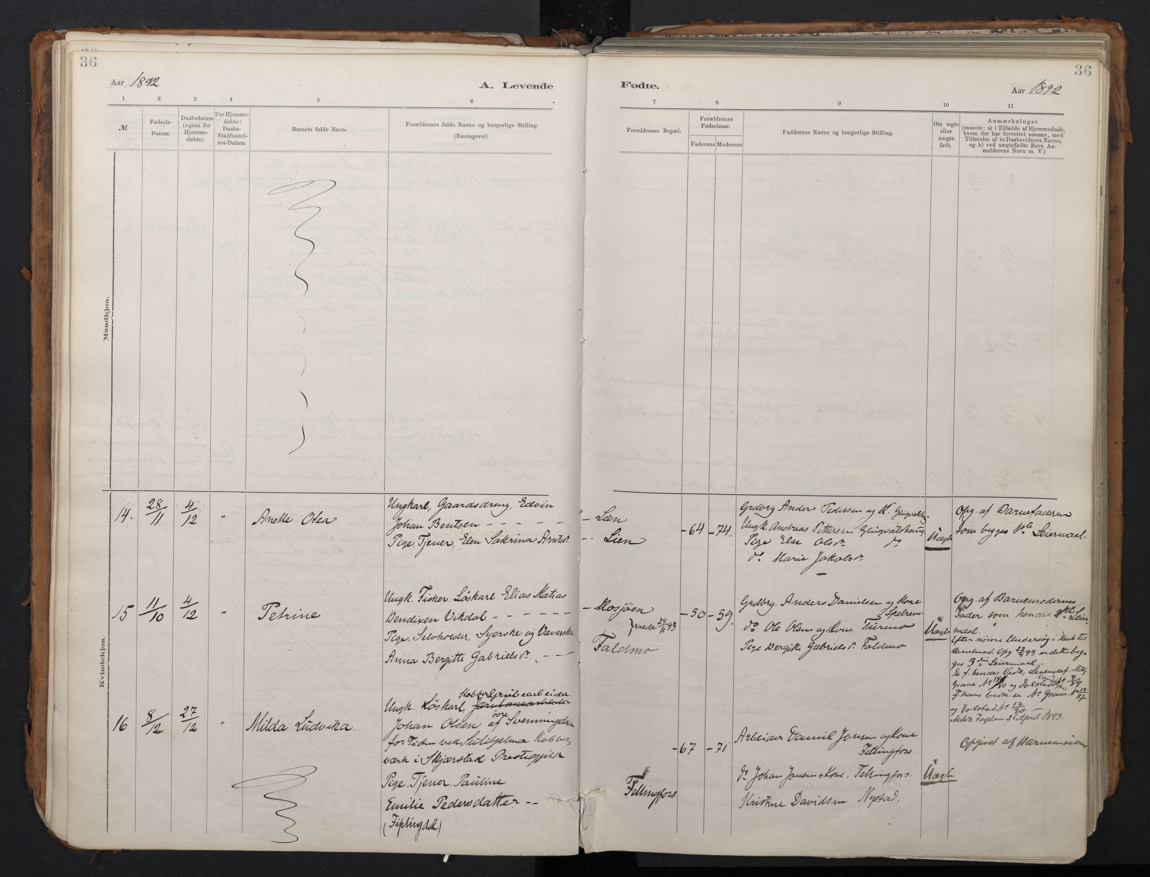 Ministerialprotokoller, klokkerbøker og fødselsregistre - Nordland, AV/SAT-A-1459/824/L0338: Parish register (official) no. 824A01, 1880-1915, p. 36