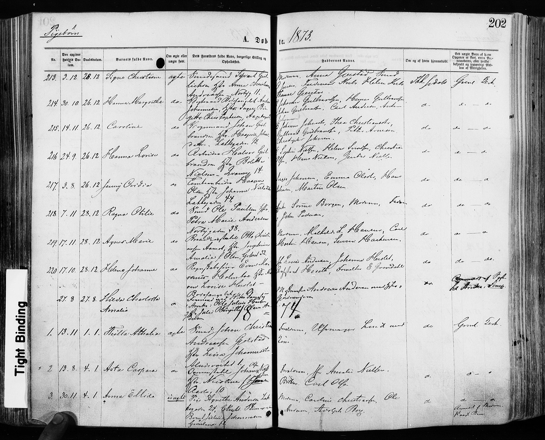 Grønland prestekontor Kirkebøker, SAO/A-10848/F/Fa/L0004: Parish register (official) no. 4, 1869-1880, p. 202