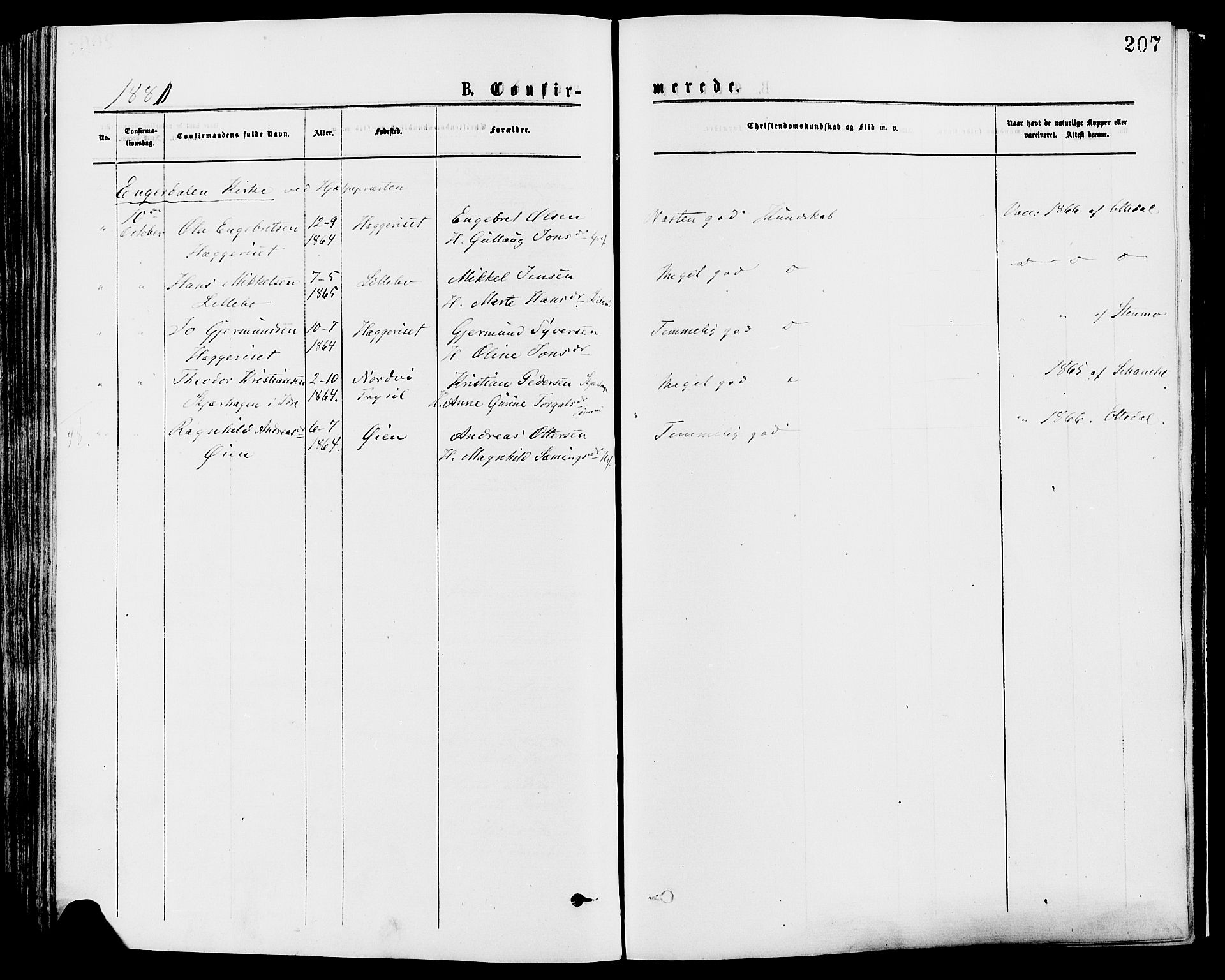 Trysil prestekontor, AV/SAH-PREST-046/H/Ha/Haa/L0007: Parish register (official) no. 7, 1874-1880, p. 207