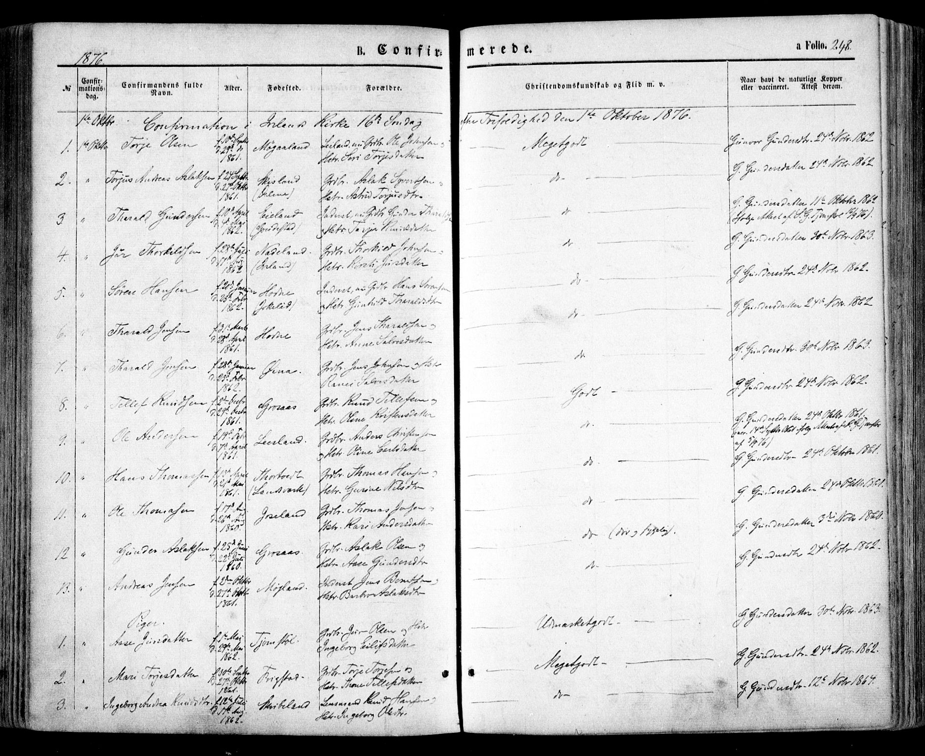 Evje sokneprestkontor, SAK/1111-0008/F/Fa/Faa/L0006: Parish register (official) no. A 6, 1866-1884, p. 248